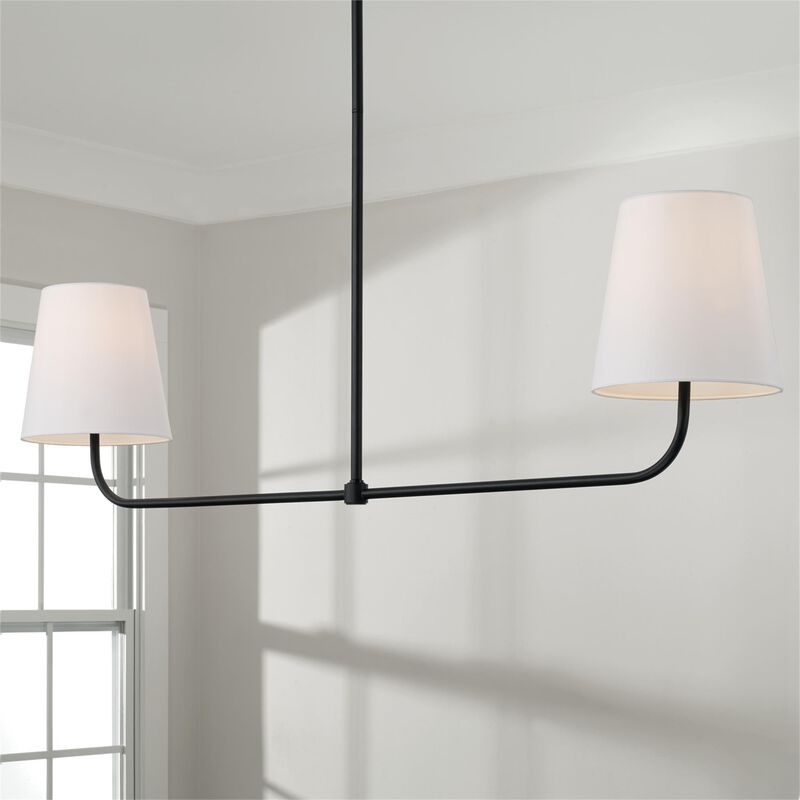 Brody 50 Inch 2 Light Linear Suspension Light by Capital Lighting Fixture Company