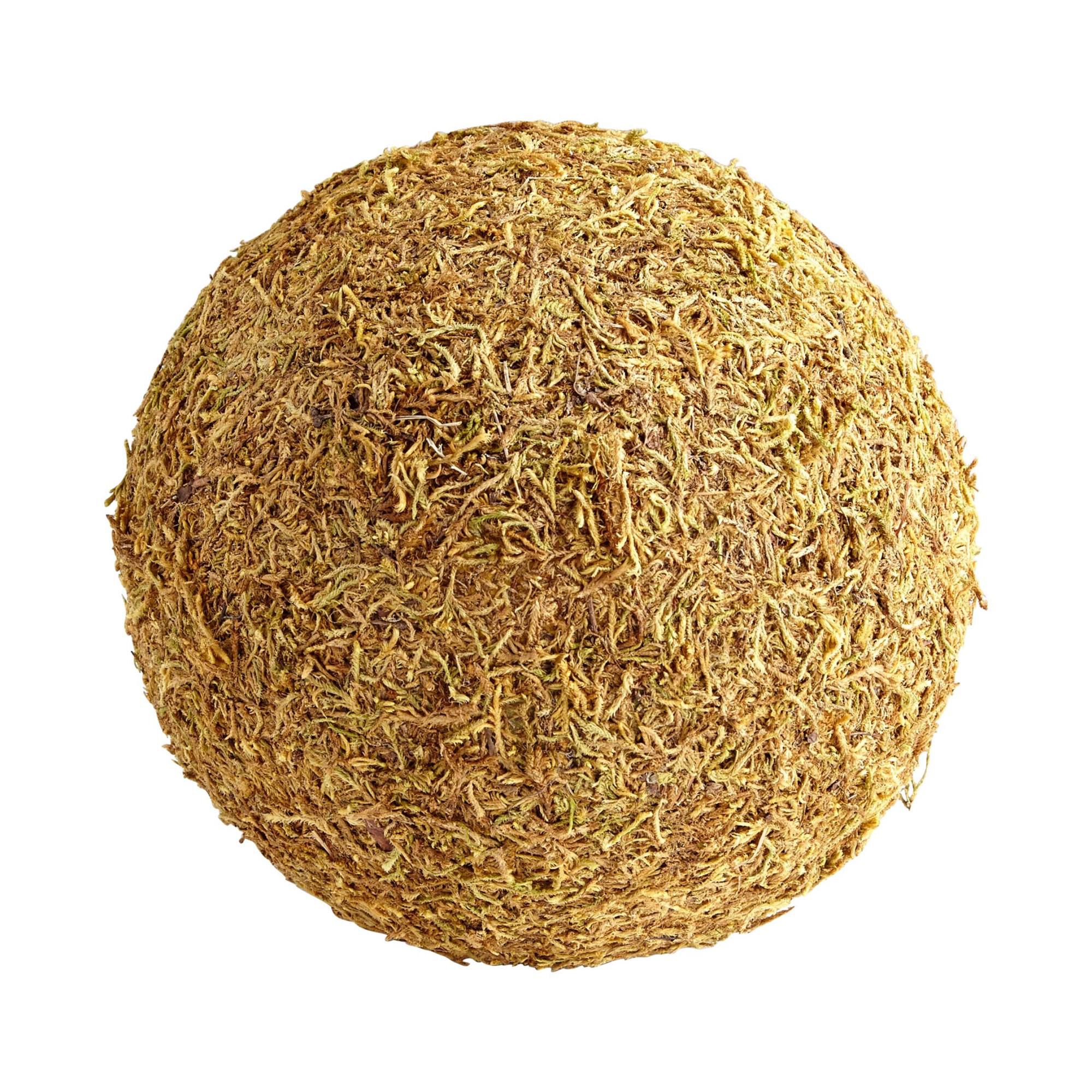 St. Augustine Figurine by Cyan Designs