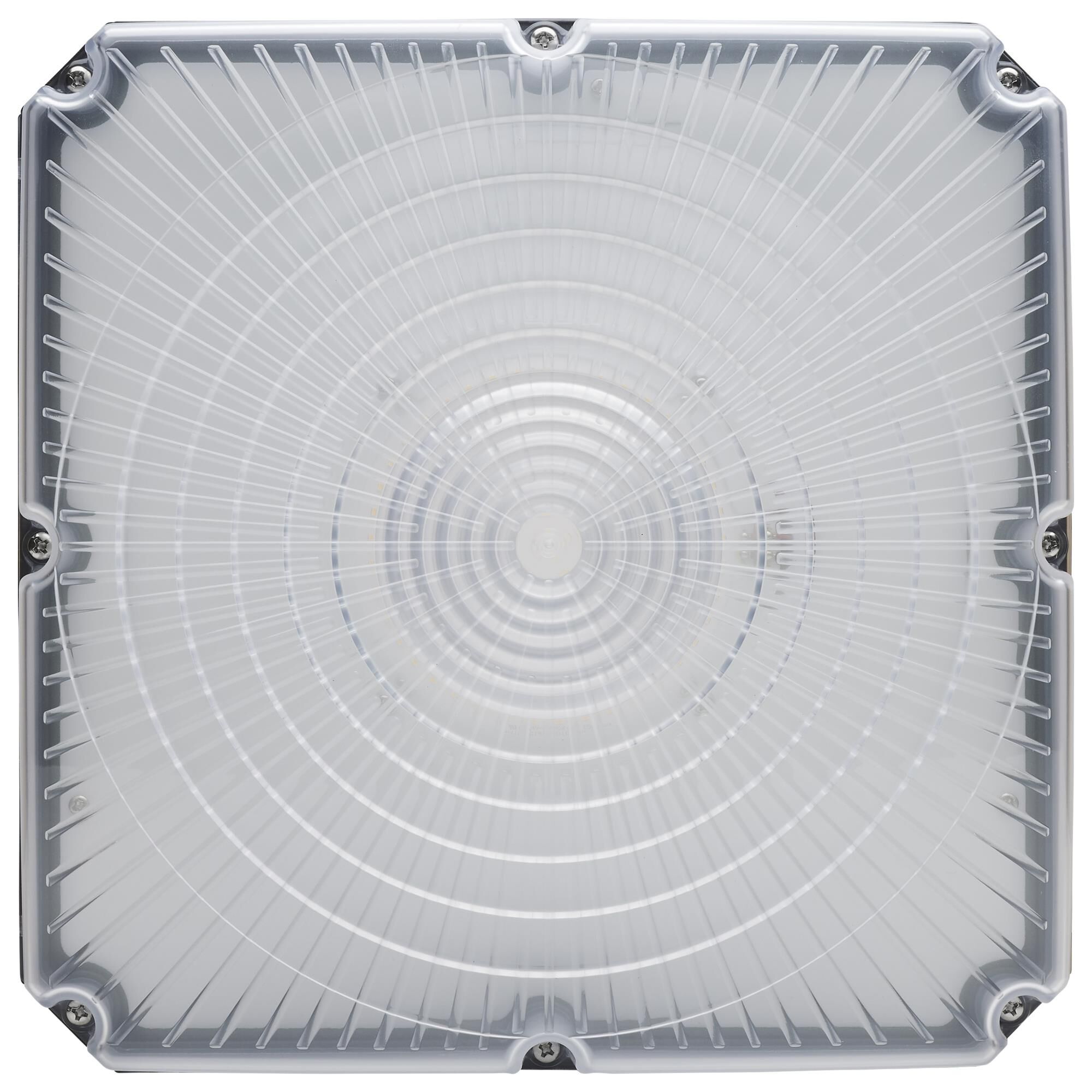 10 Inch Flush Mount by Nuvo Lighting
