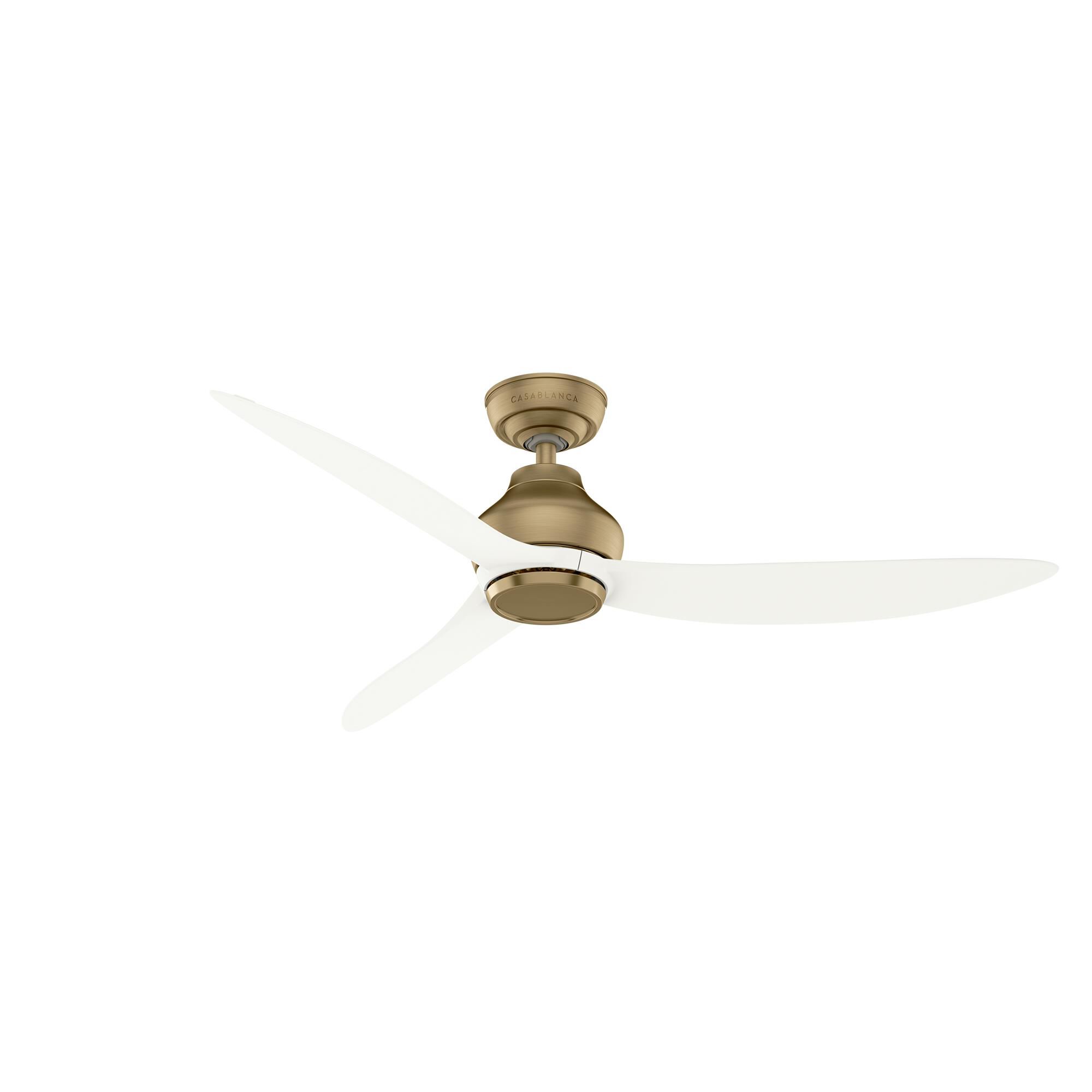 Eyla 52 Inch Ceiling Fan by Casablanca Fan Company