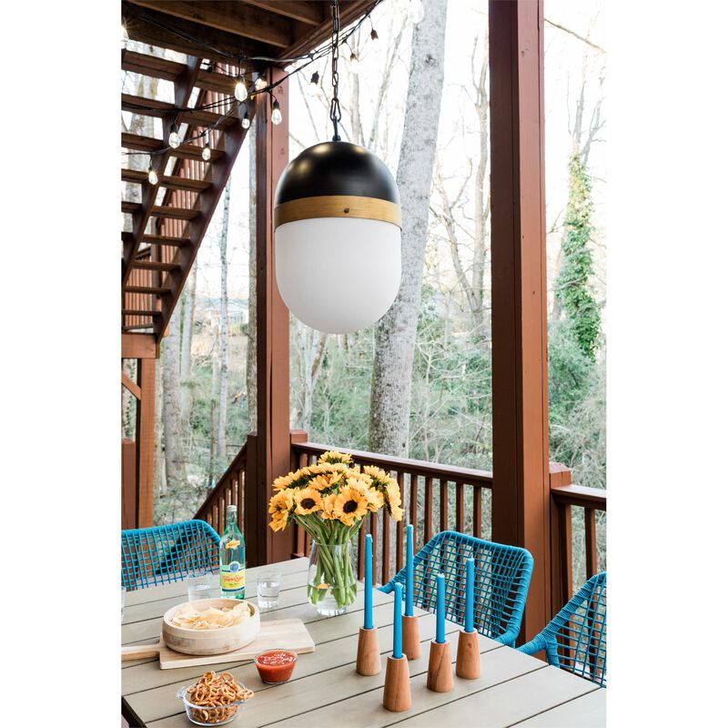 Brian Patrick Flynn Capsule Small Outdoor Hanging Lantern by Crystorama