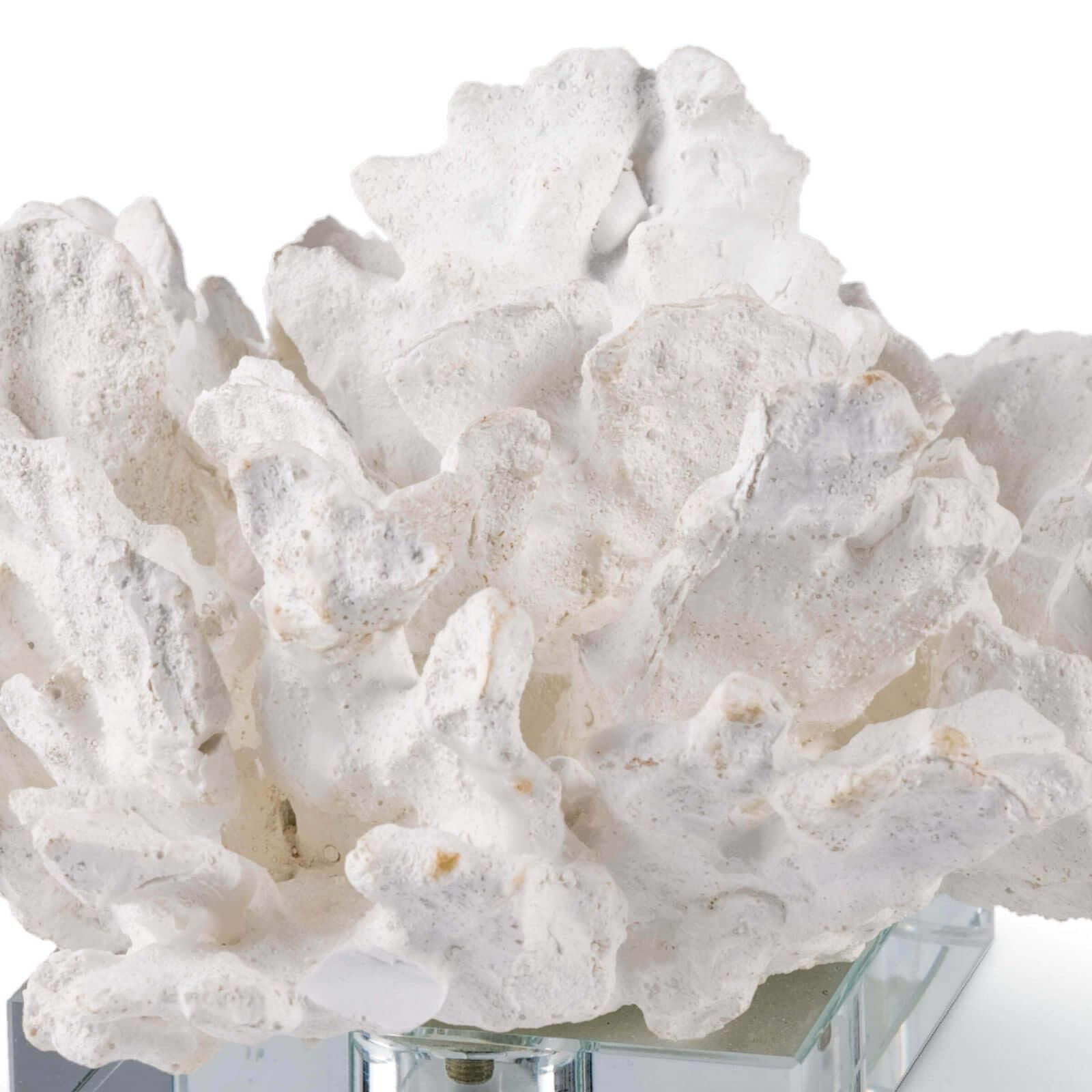 Regina Andrew Flower Coral Table Accent - Thumbnail 3