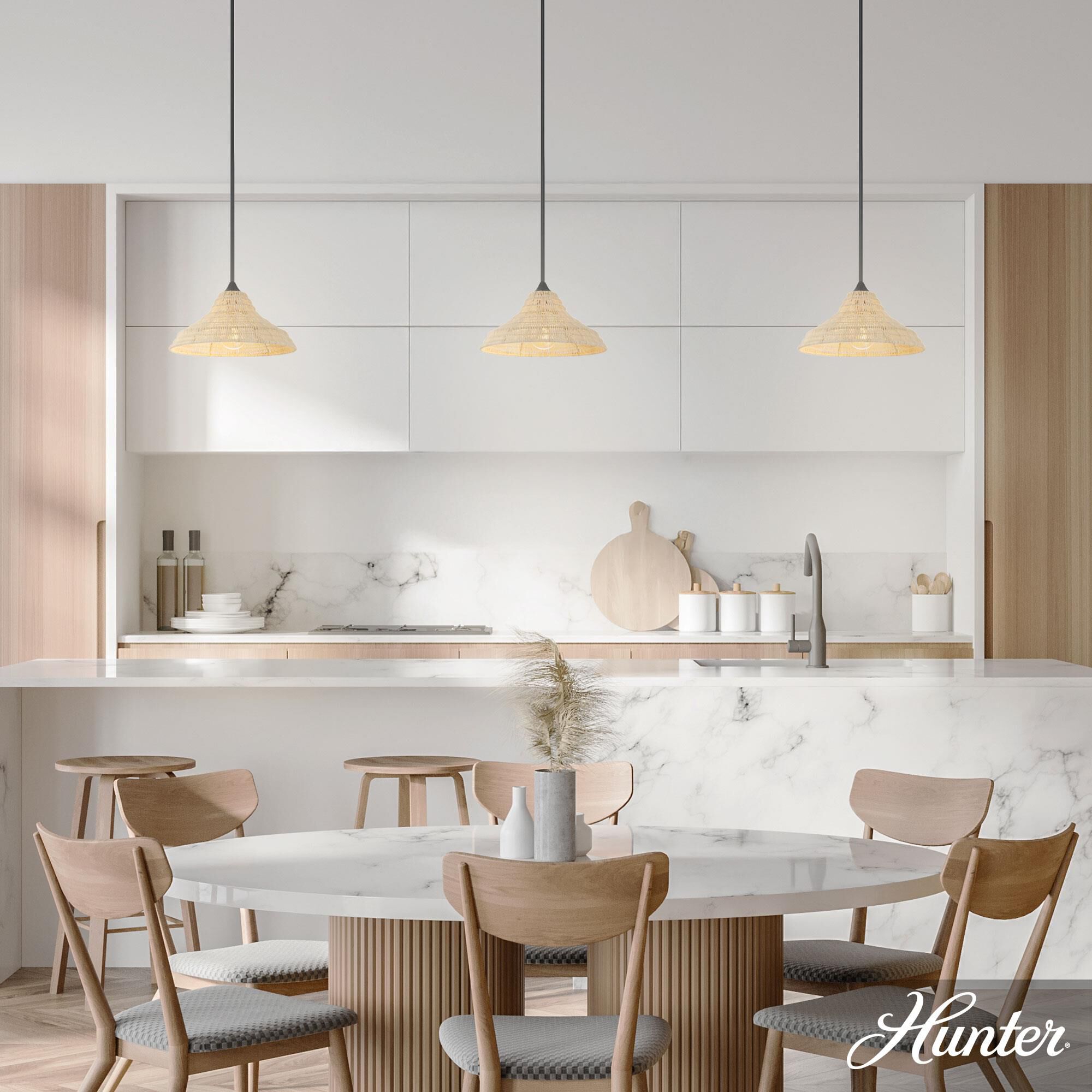 Agoura 14 Inch Large Pendant by Hunter Fan