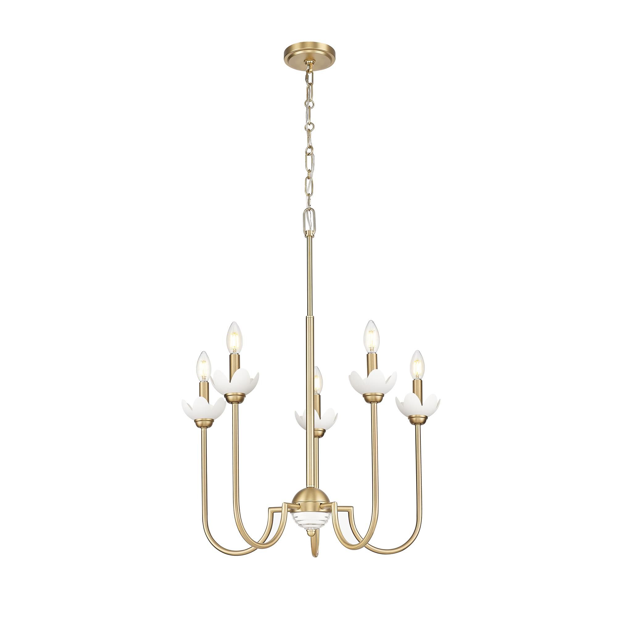 Shown in Modern Gold finish and Clear Ribbed glass and Clear Ribbed shade