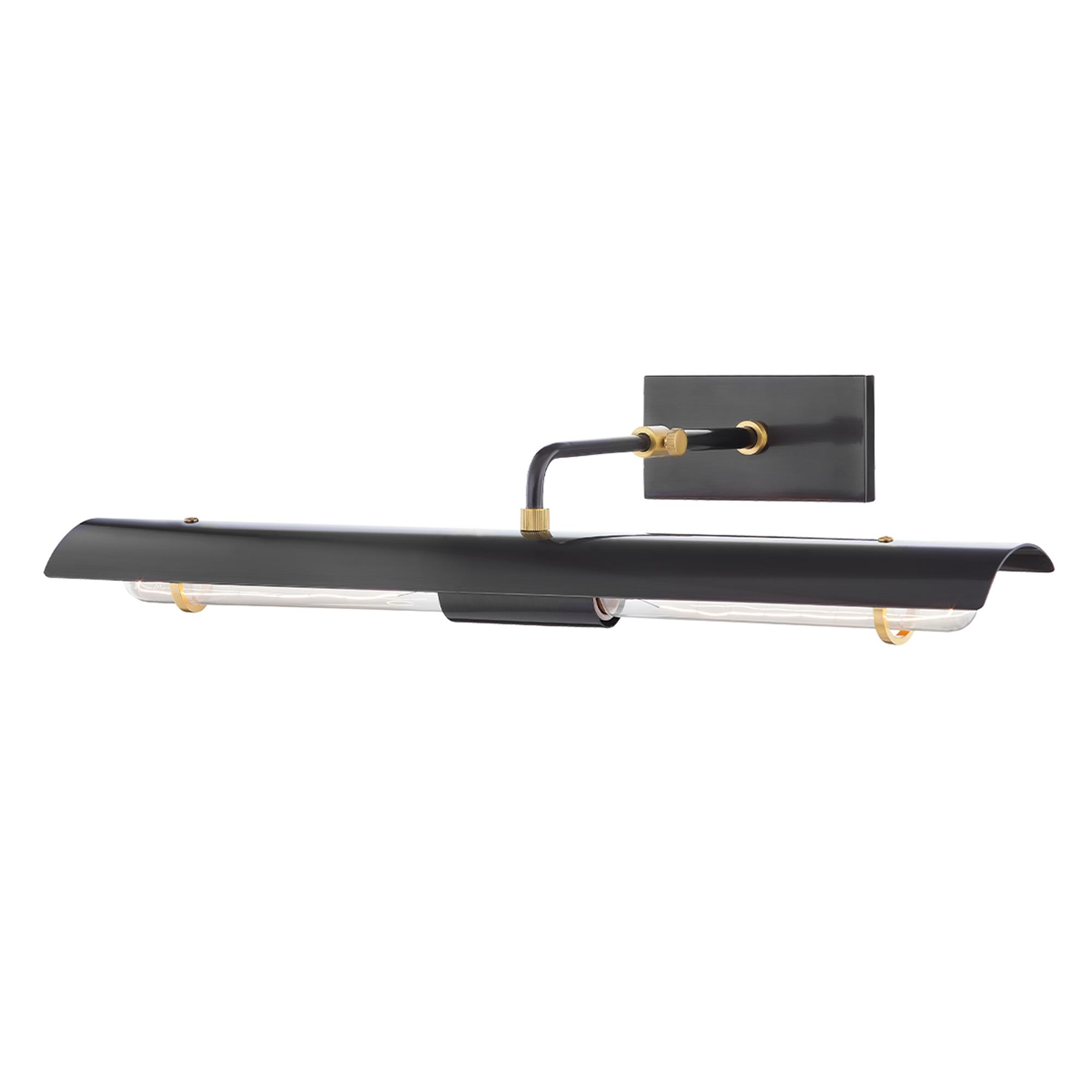 Raelynn 22 Inch Picture Light,