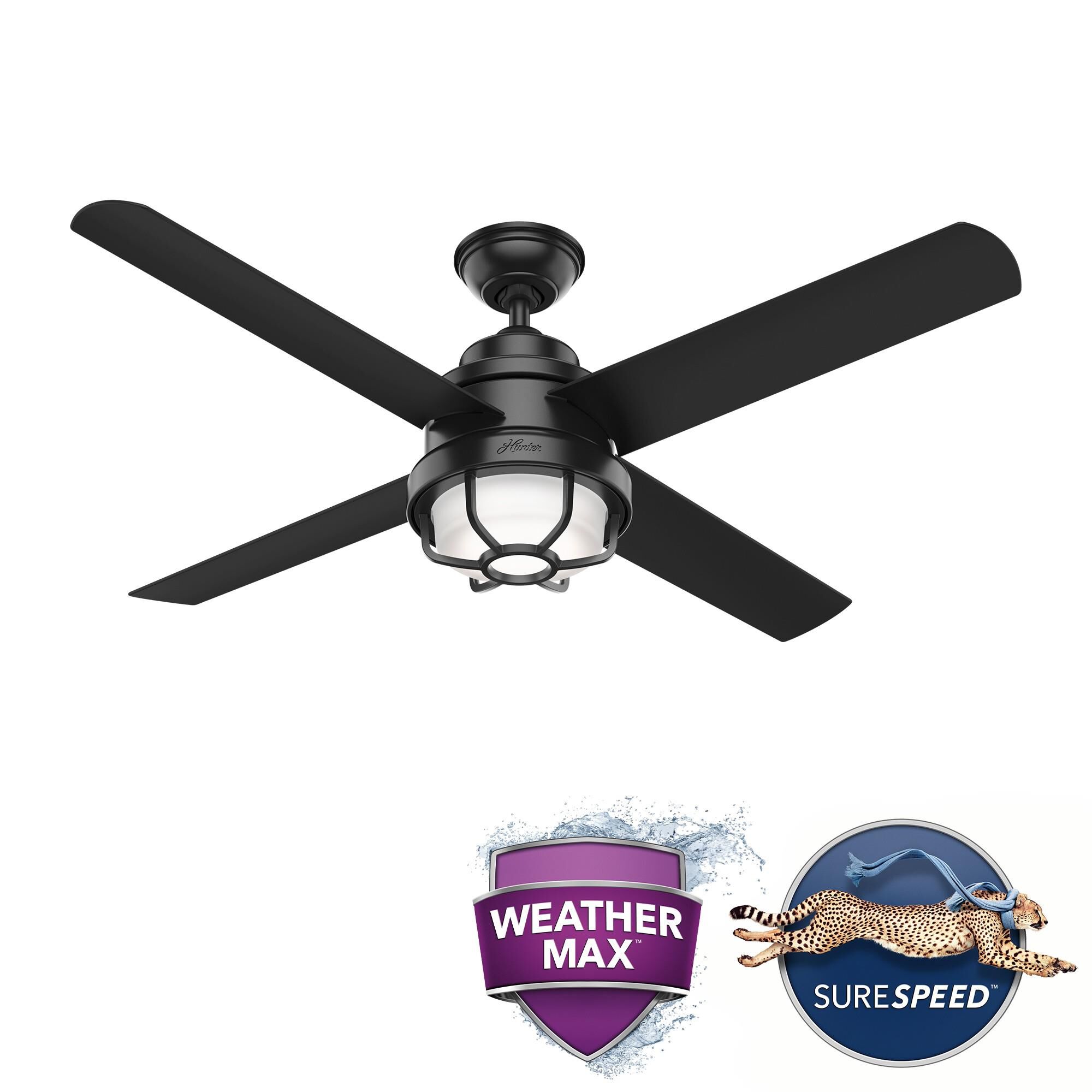Searow Outdoor Rated 54 Inch Ceiling Fan with Light Kit by Hunter Fan