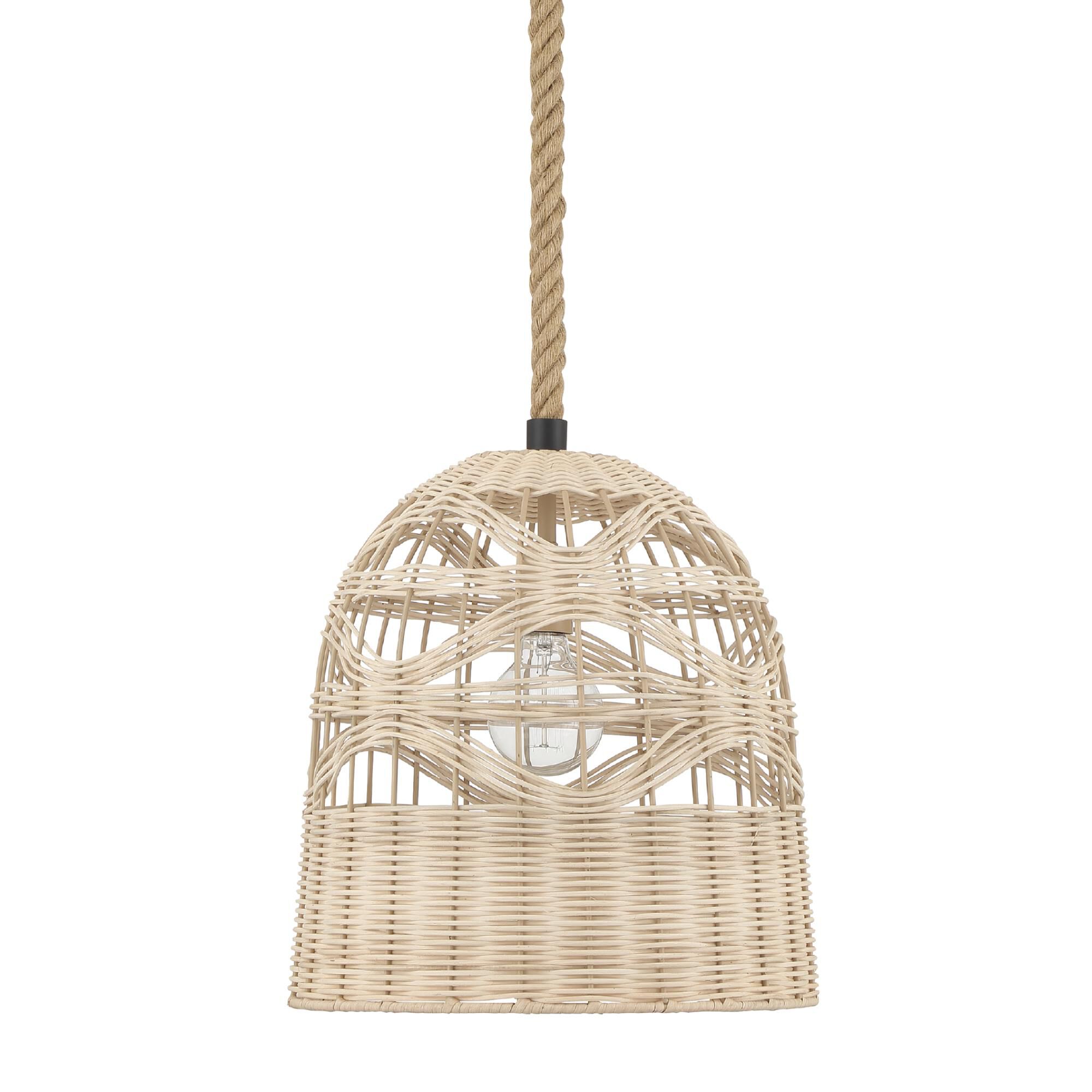 Baskel 14 Inch Large Pendant by Hunter Fan