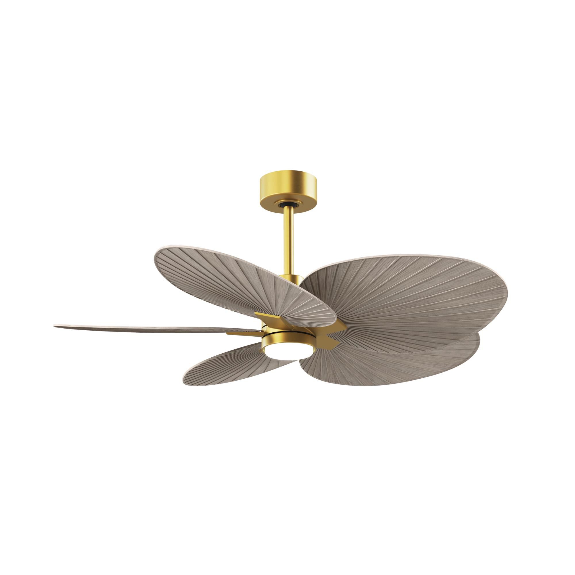 Alessandra Tropical Outdoor Rated 48 Inch Ceiling Fan with Light Kit by Matthews Fan Company
