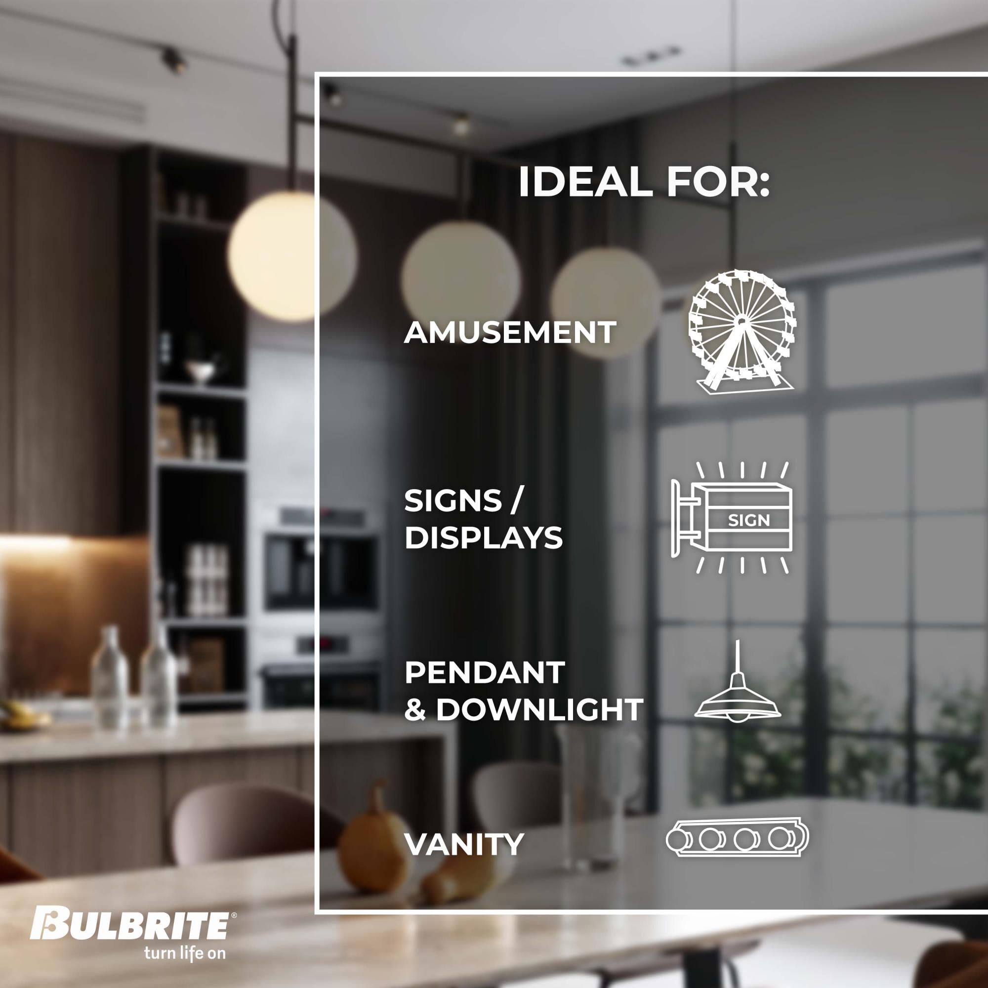 60 Watt 2700K G40 Incandescent Light Bulb by Bulbrite