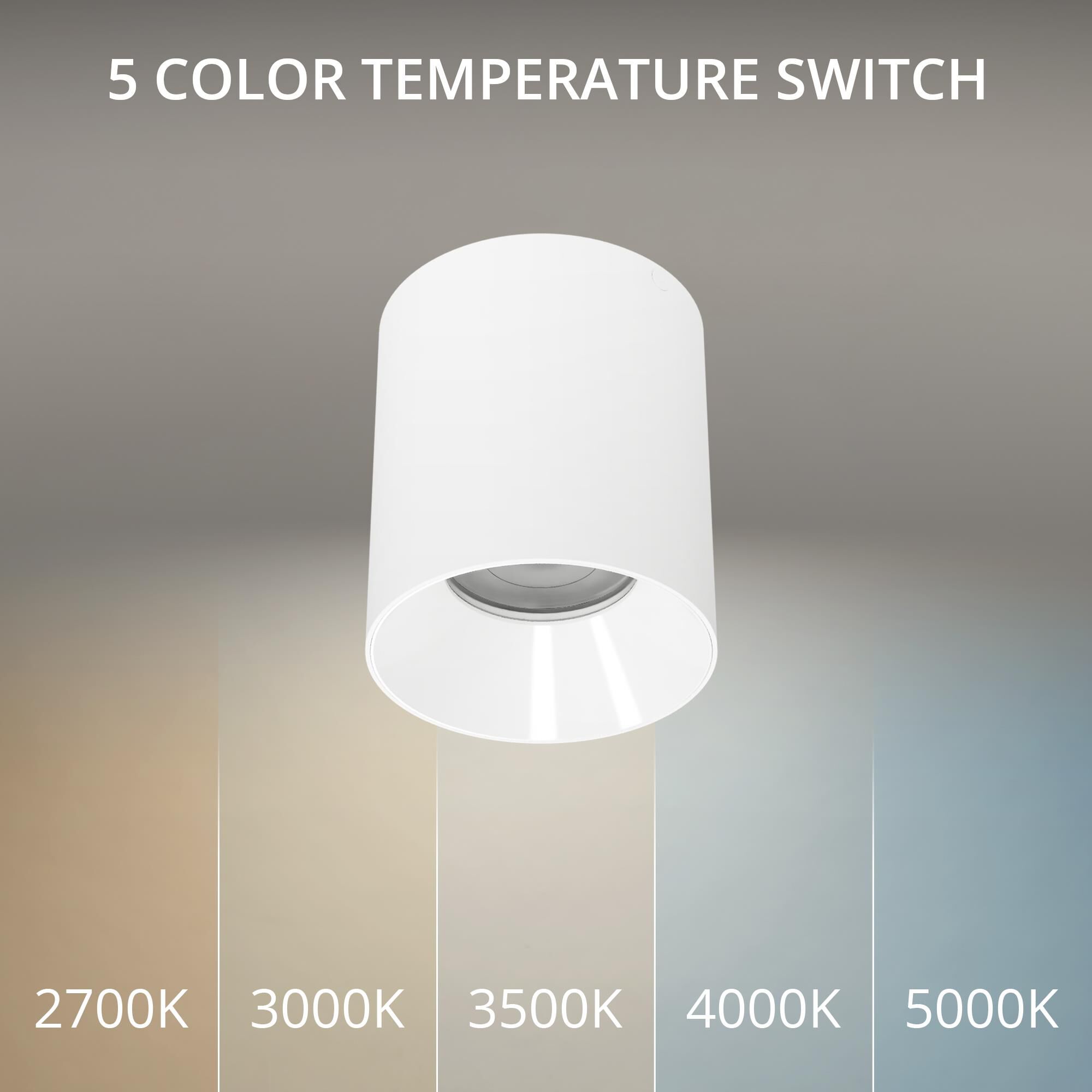 Zoron 4 Inch Outdoor Flush Mount by WAC Lighting