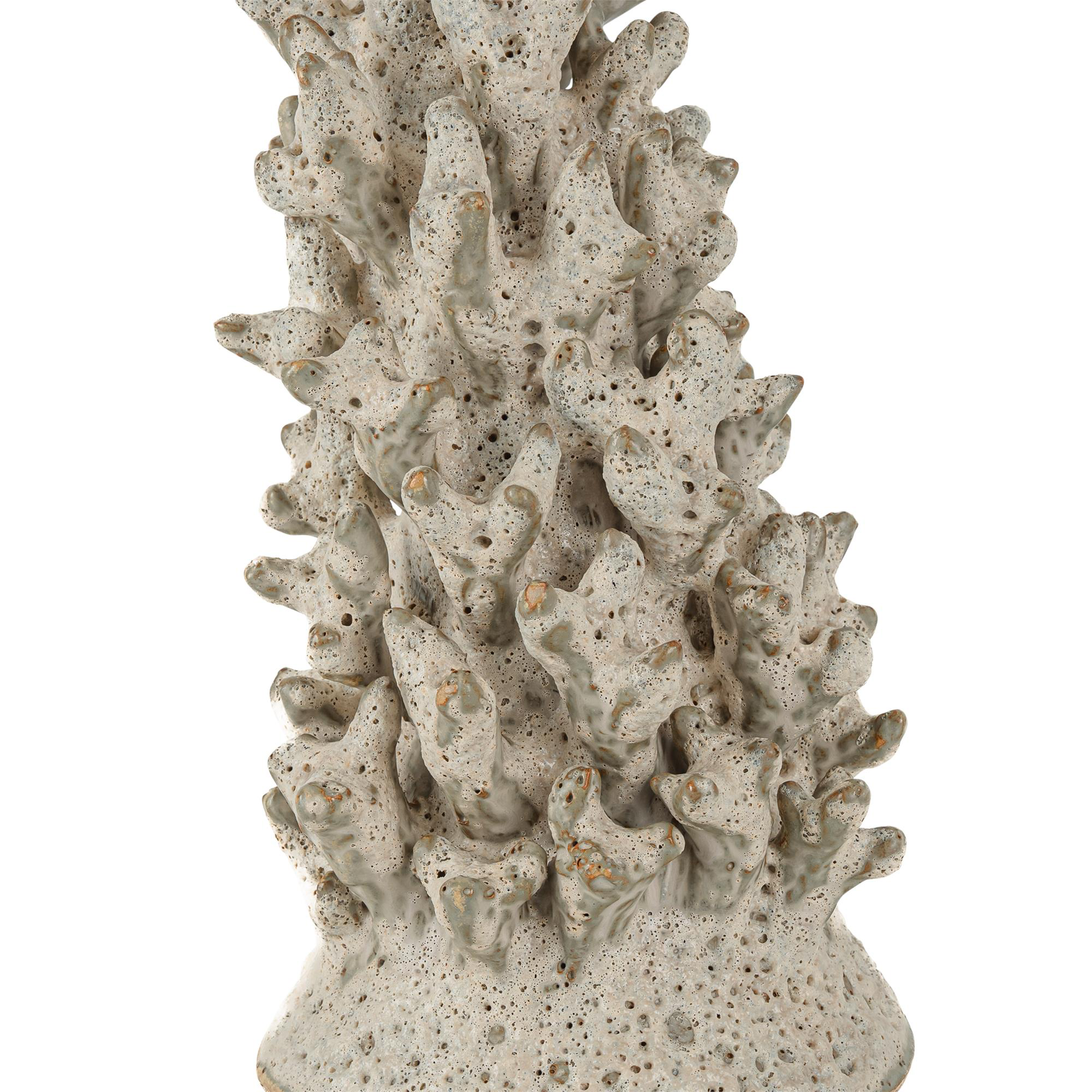Staghorn Sculpture,