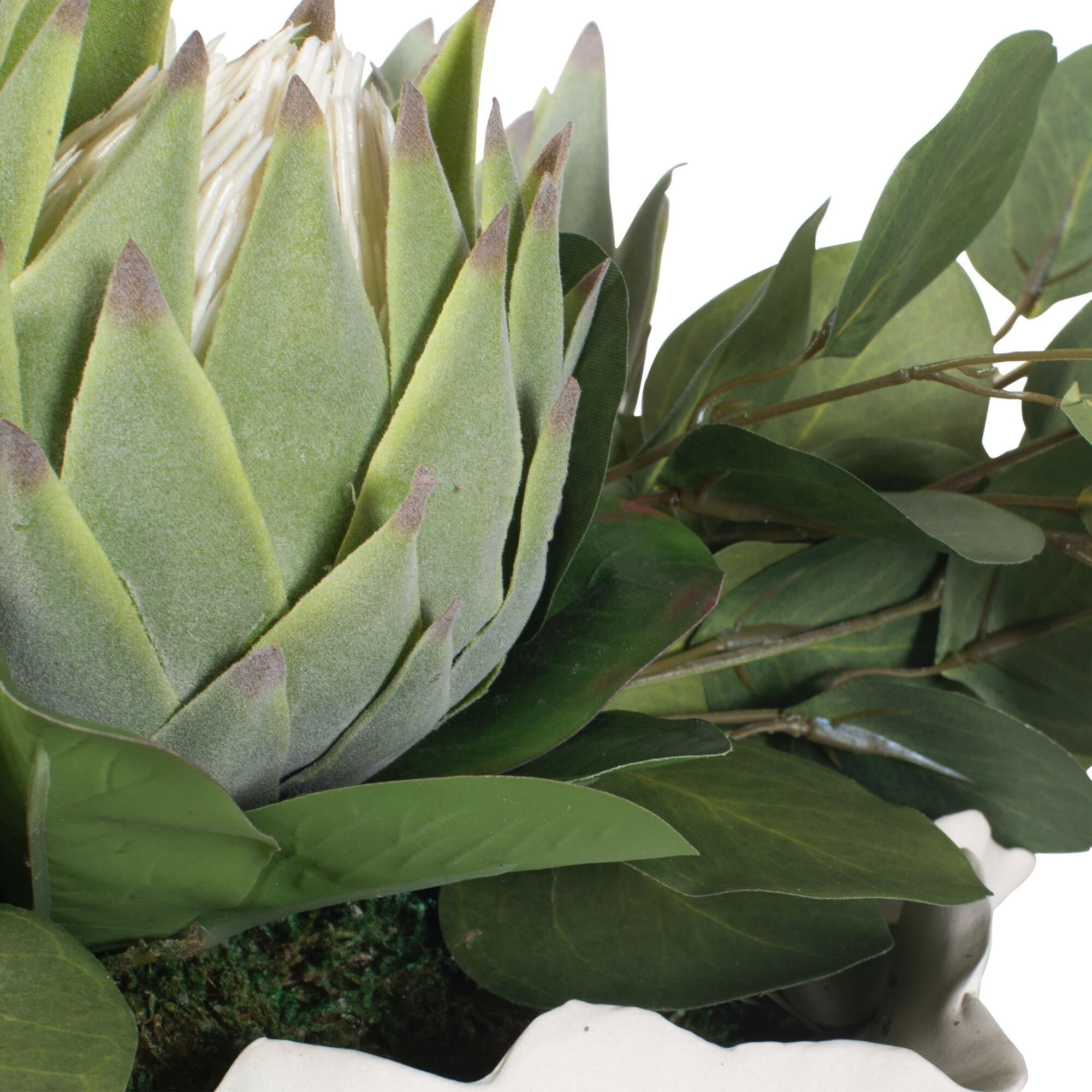 Protea Blooms Botanical by Uttermost