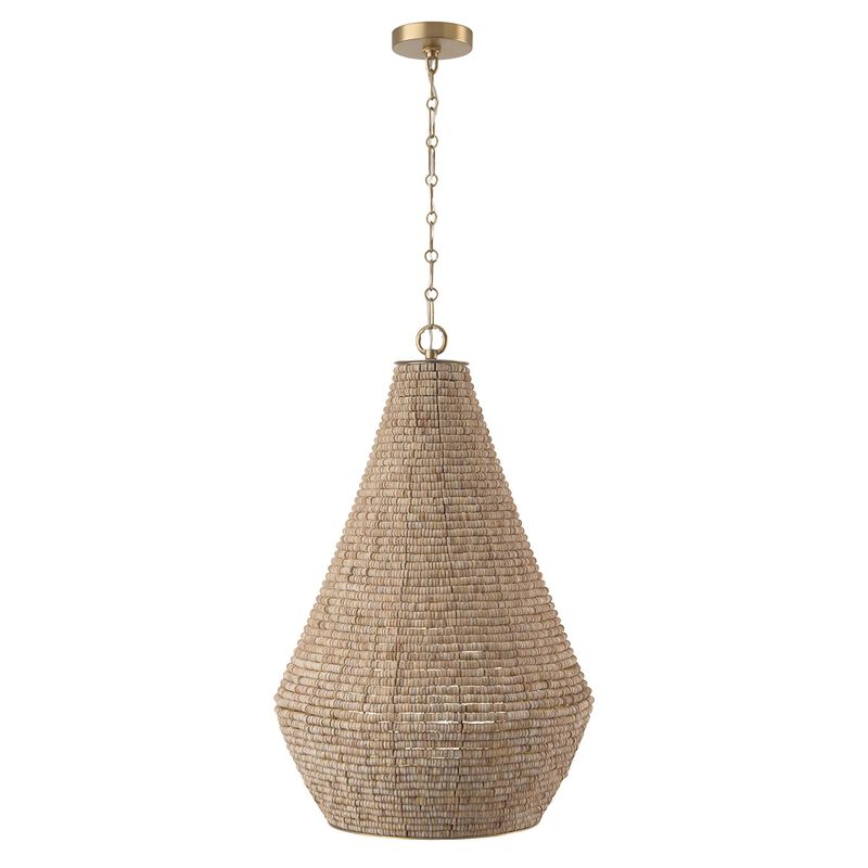 Morada 20 Inch Large Pendant by Capital Lighting