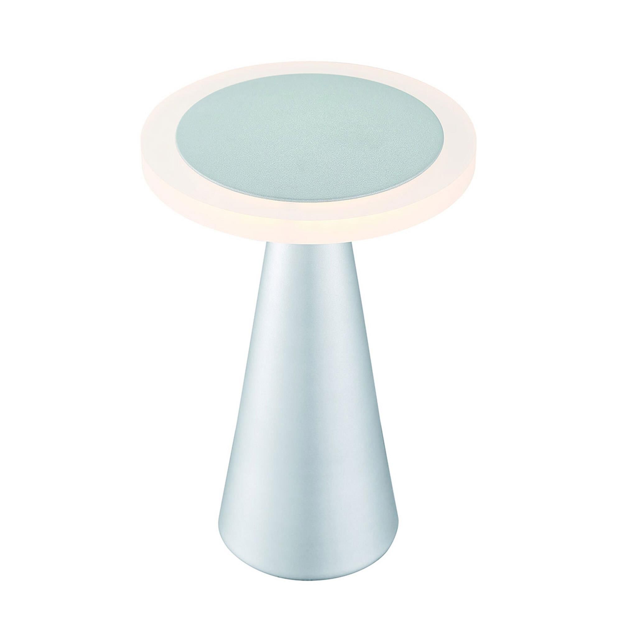 Shown in Titanium finish and Frosted Acrylic Diffuser glass