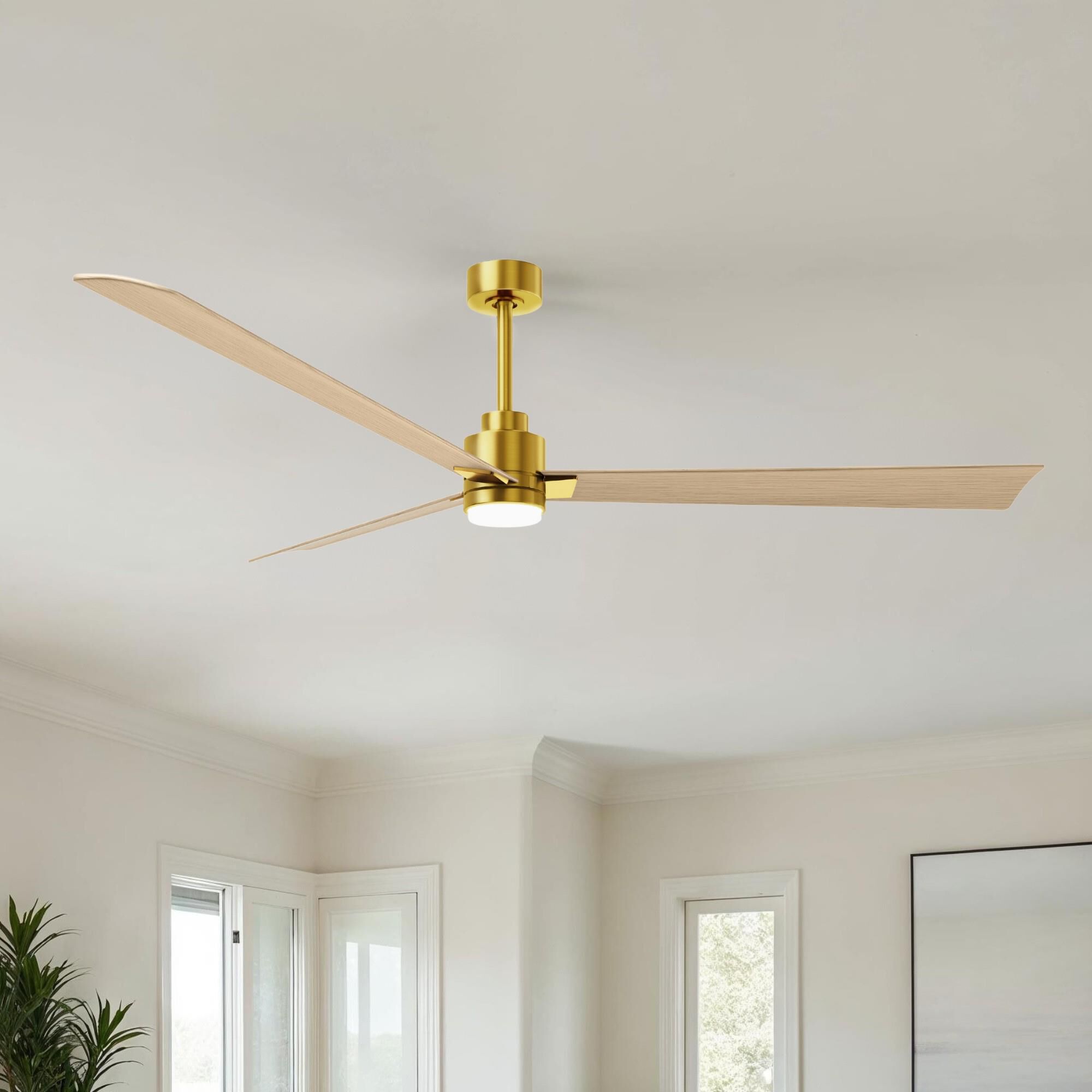 Alessandra 72 Inch Ceiling Fan by Matthews Fan Company