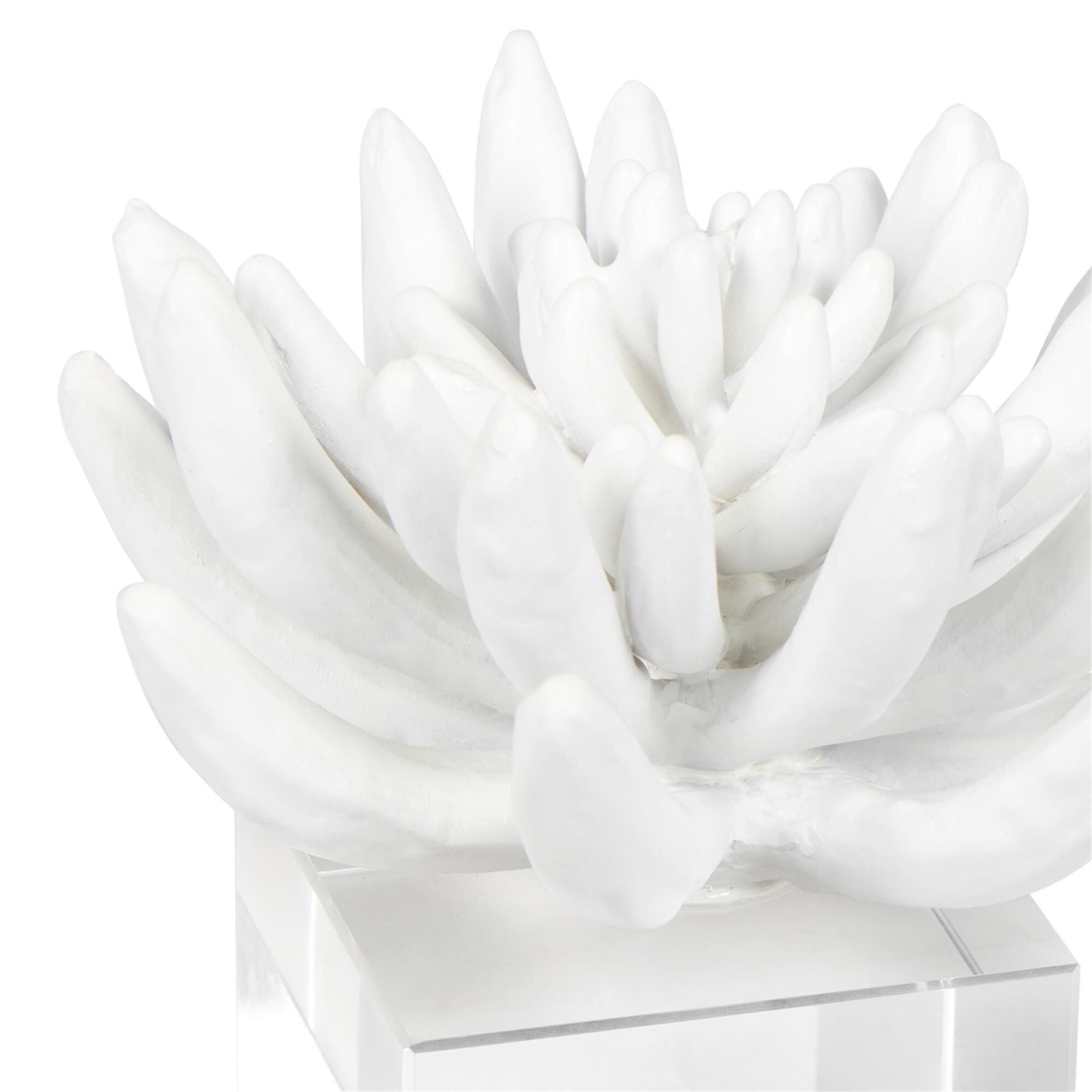 Succulent 6 Inch Sculpture by Regina Andrew