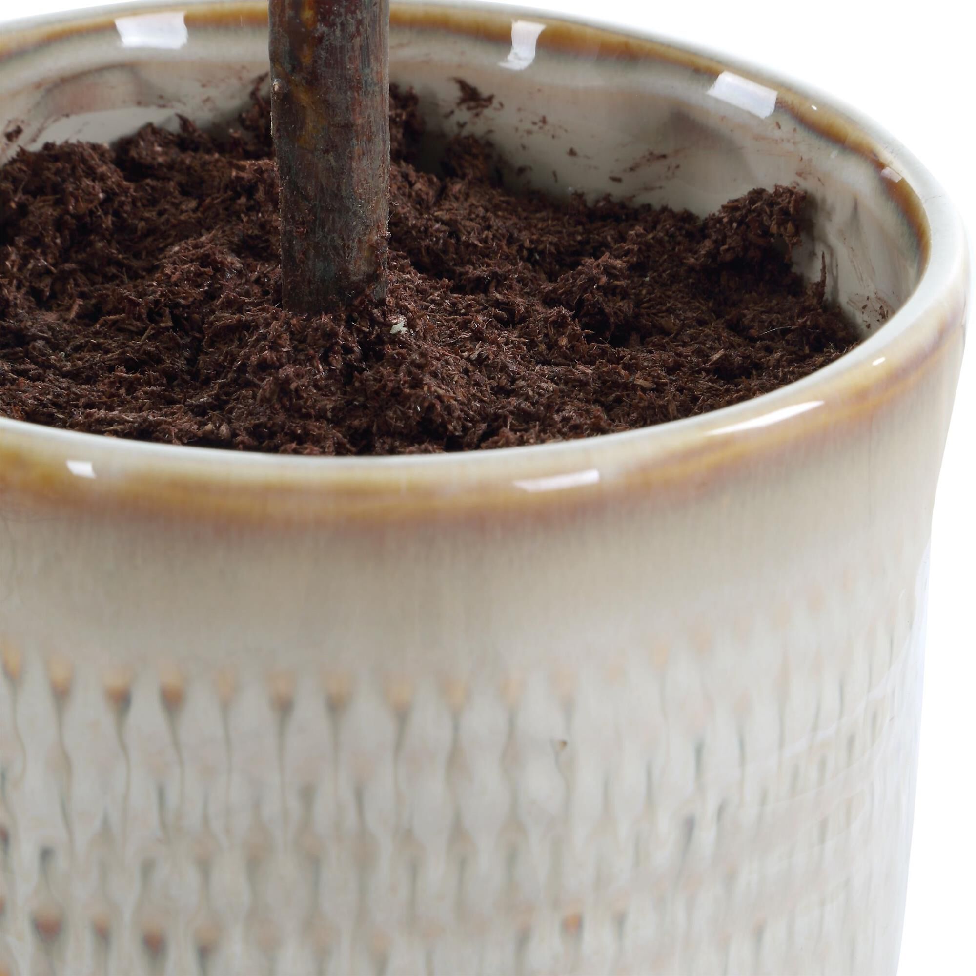 Constance Lael-Linyard Solea Olive Botanical by Uttermost