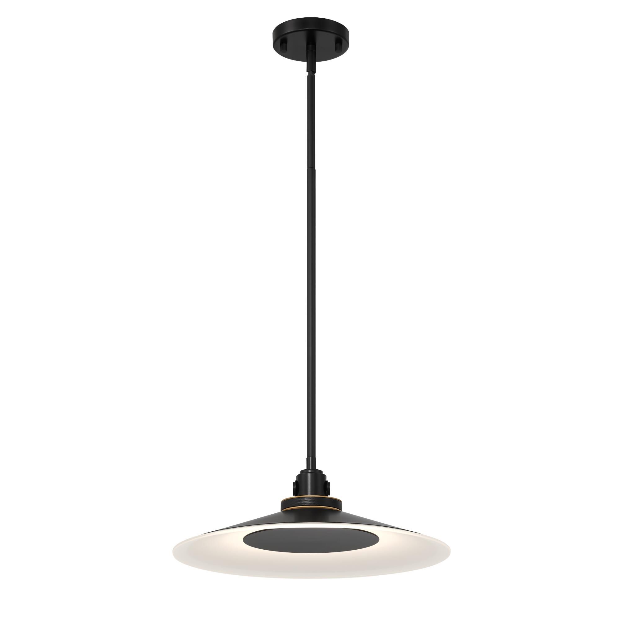 Deckard 16 Inch Large Pendant by Eurofase Lighting