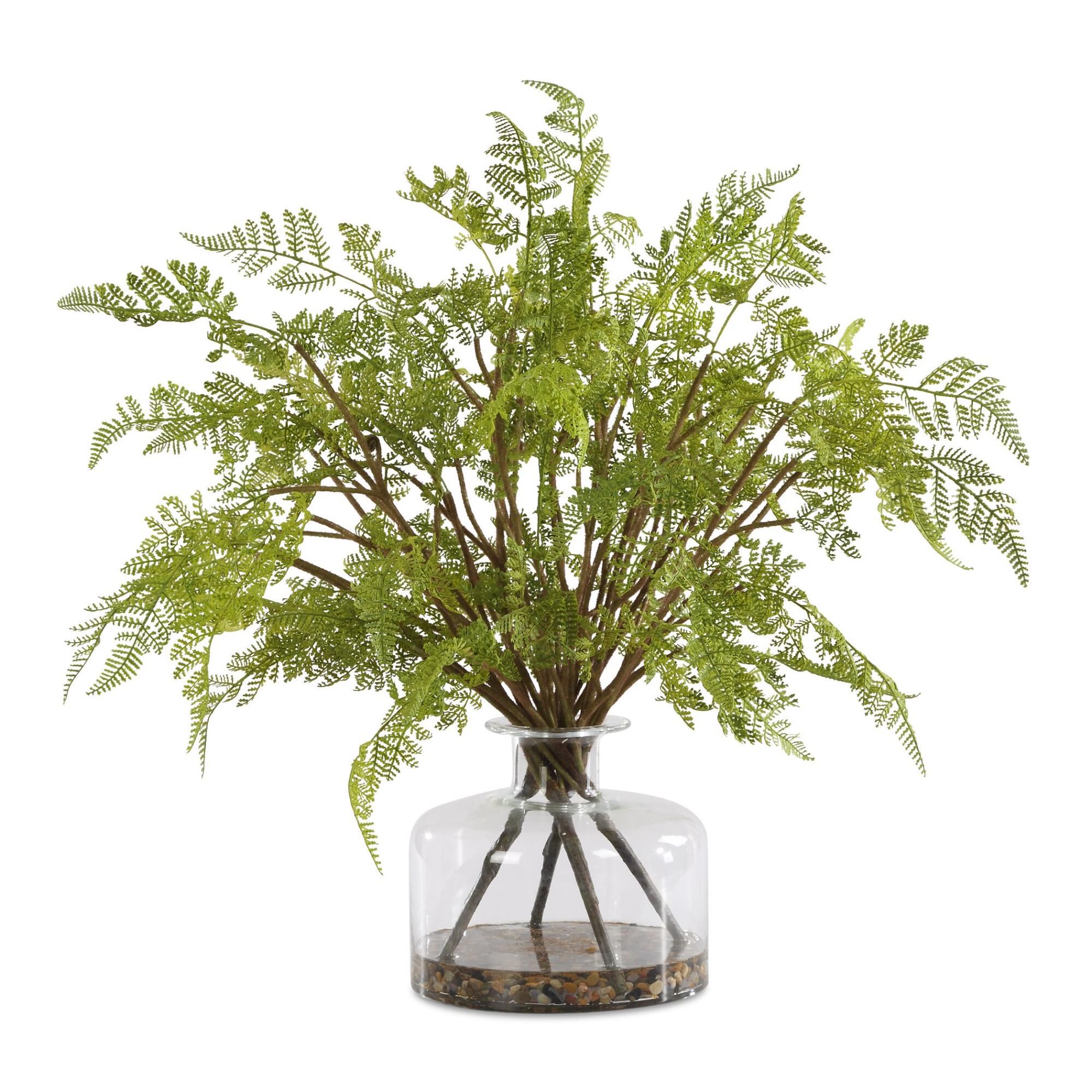 Constance Lael-Linyard Woodland Fern 24 Inch Botanical by Uttermost