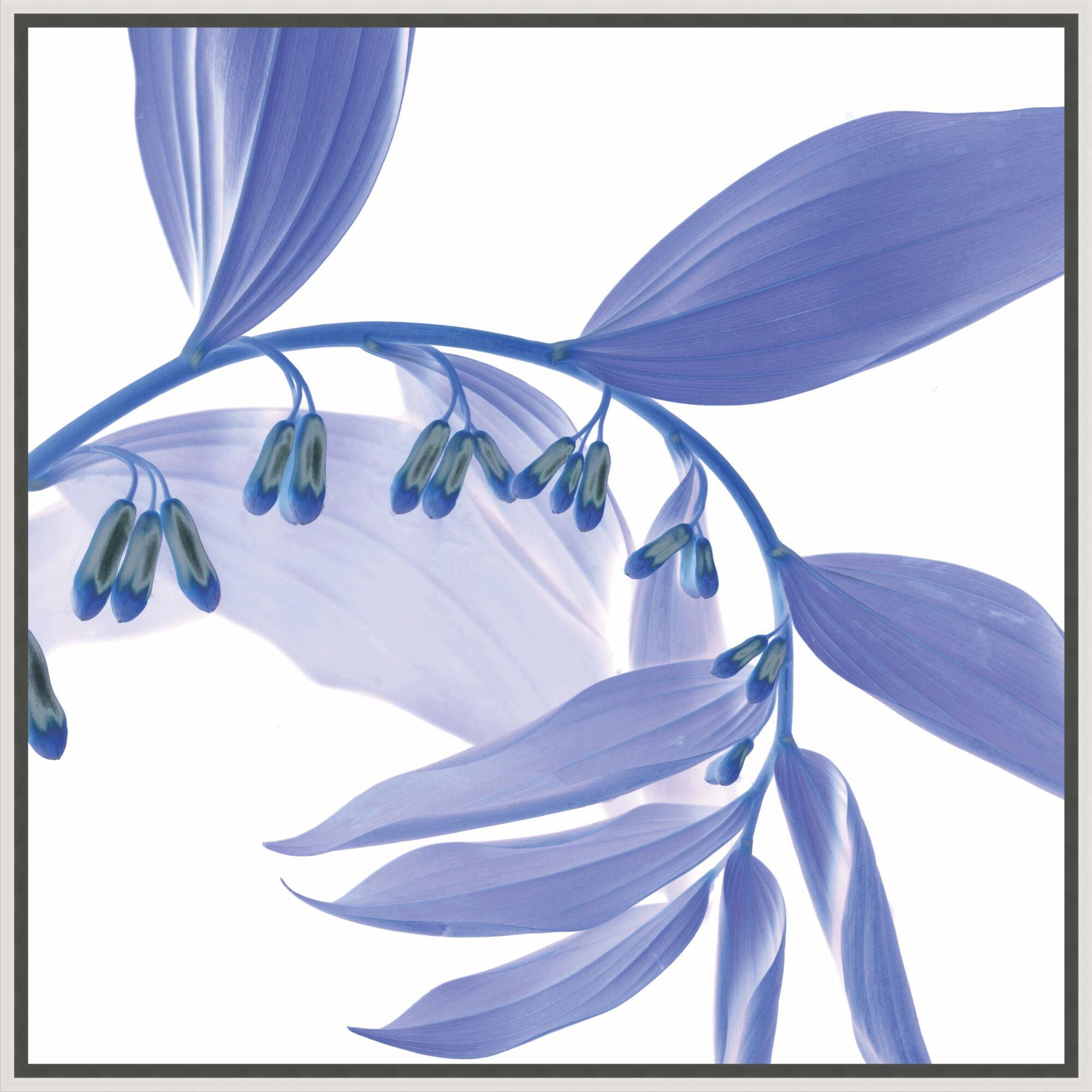 Lustrous Spectrum Print by LEVEL57