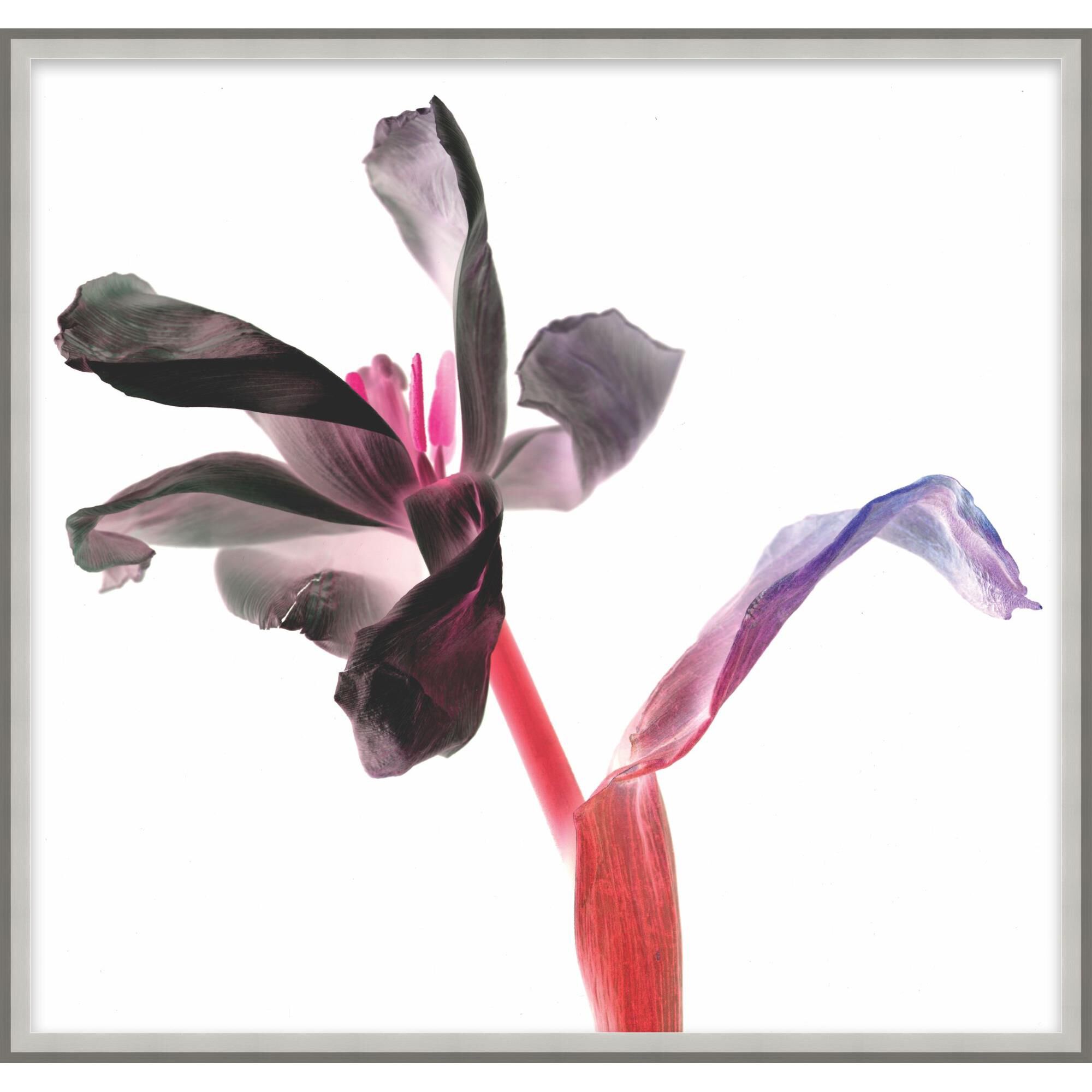 Prismatic Profile Print by LEVEL57