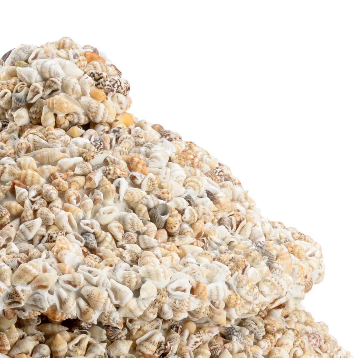 Shell Vase-Urn by Chelsea House