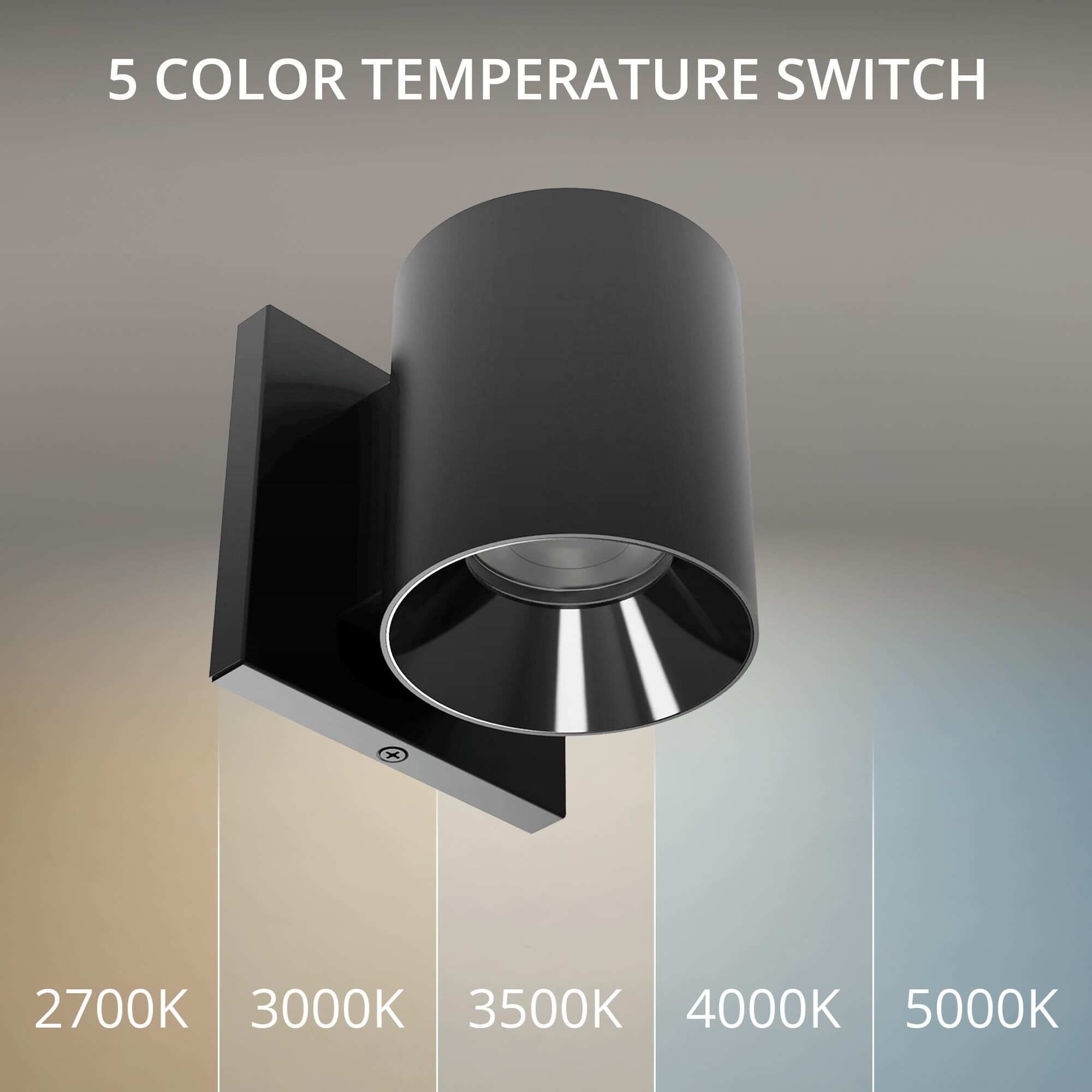 Zoron 4 Inch Outdoor Wall Light by WAC Lighting
