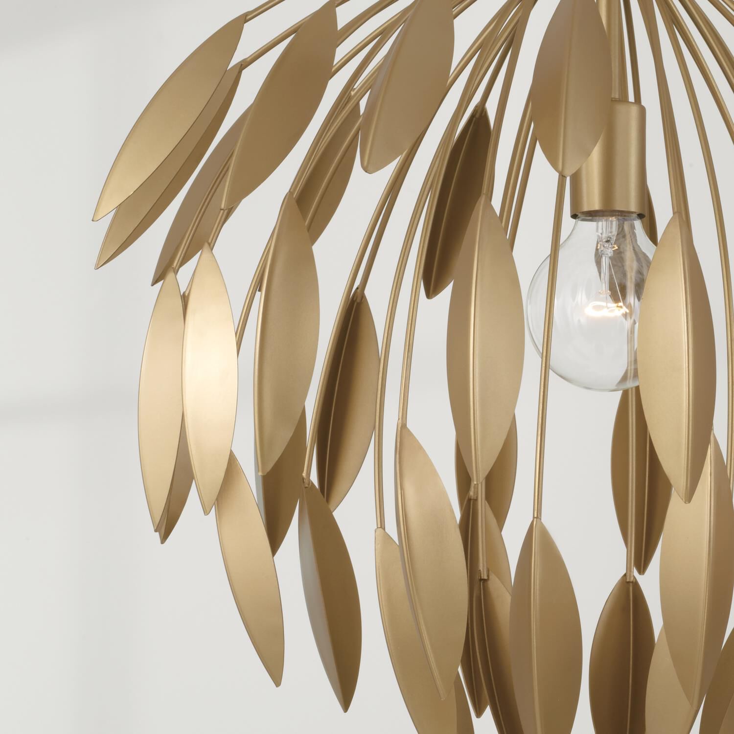 Shown in Buffed Gold finish