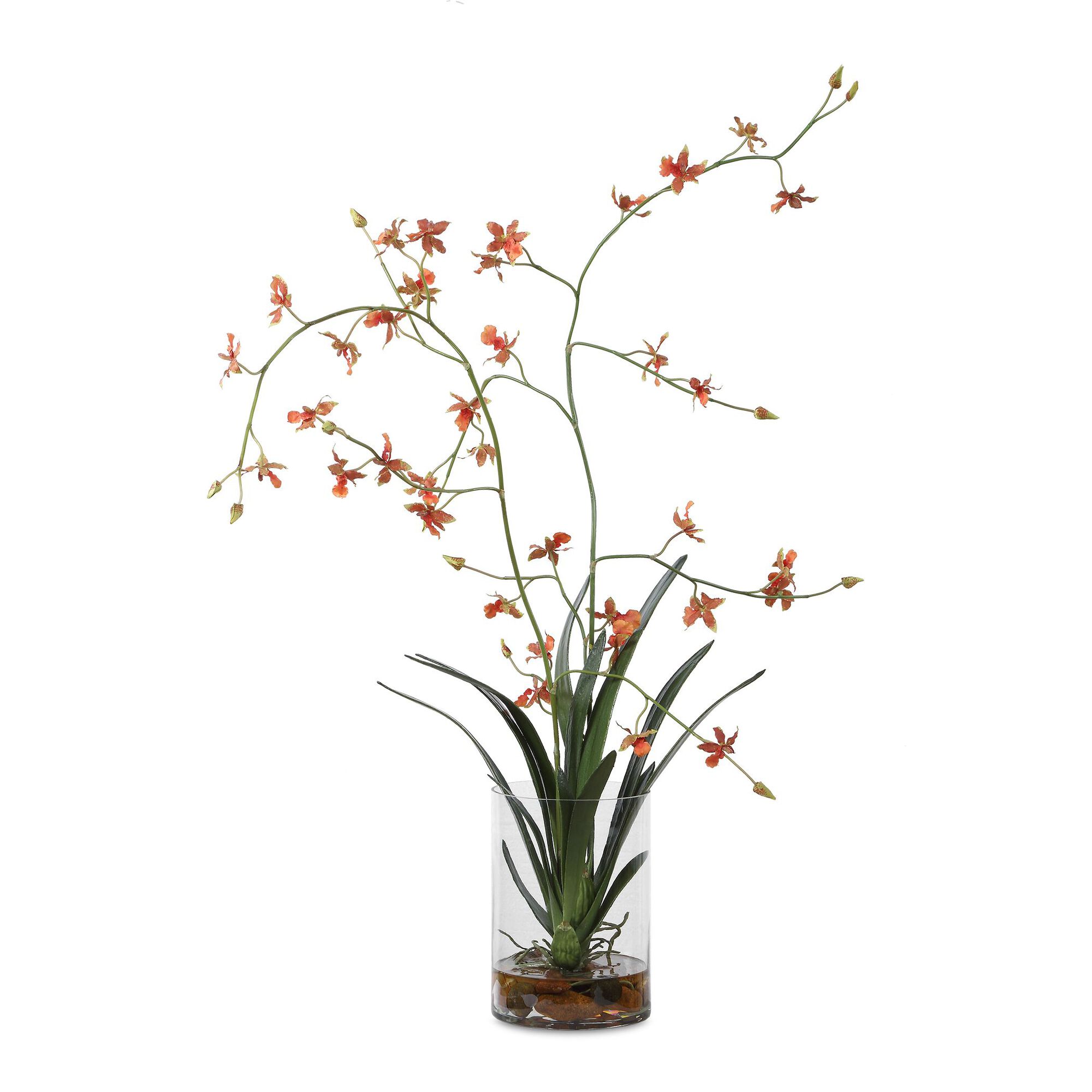 Dancing Botanical,
