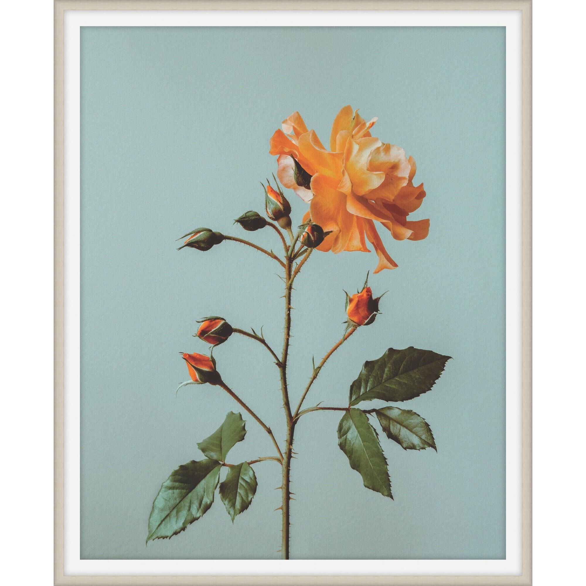 Atonement Petals Print by LEVEL57