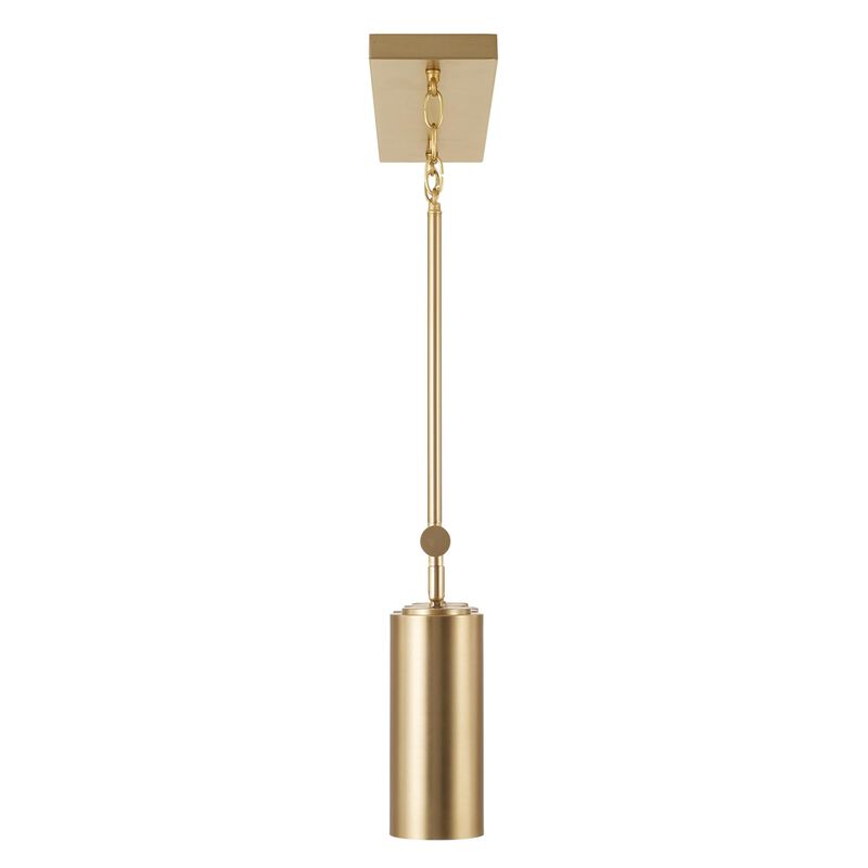 Robbie 40 Inch Linear Suspension Light by Capital Lighting