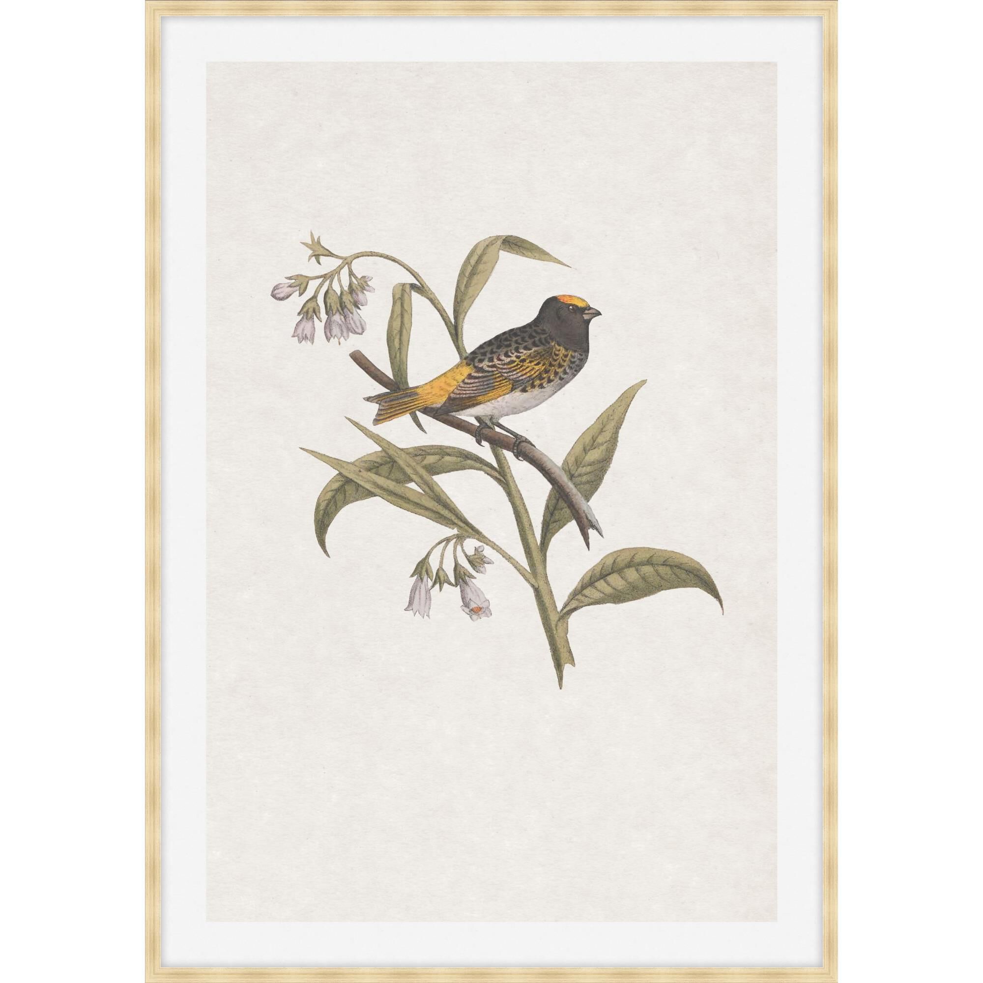 Studio L57 Nouvelle Nesting Navigators Ivory Print by LEVEL57