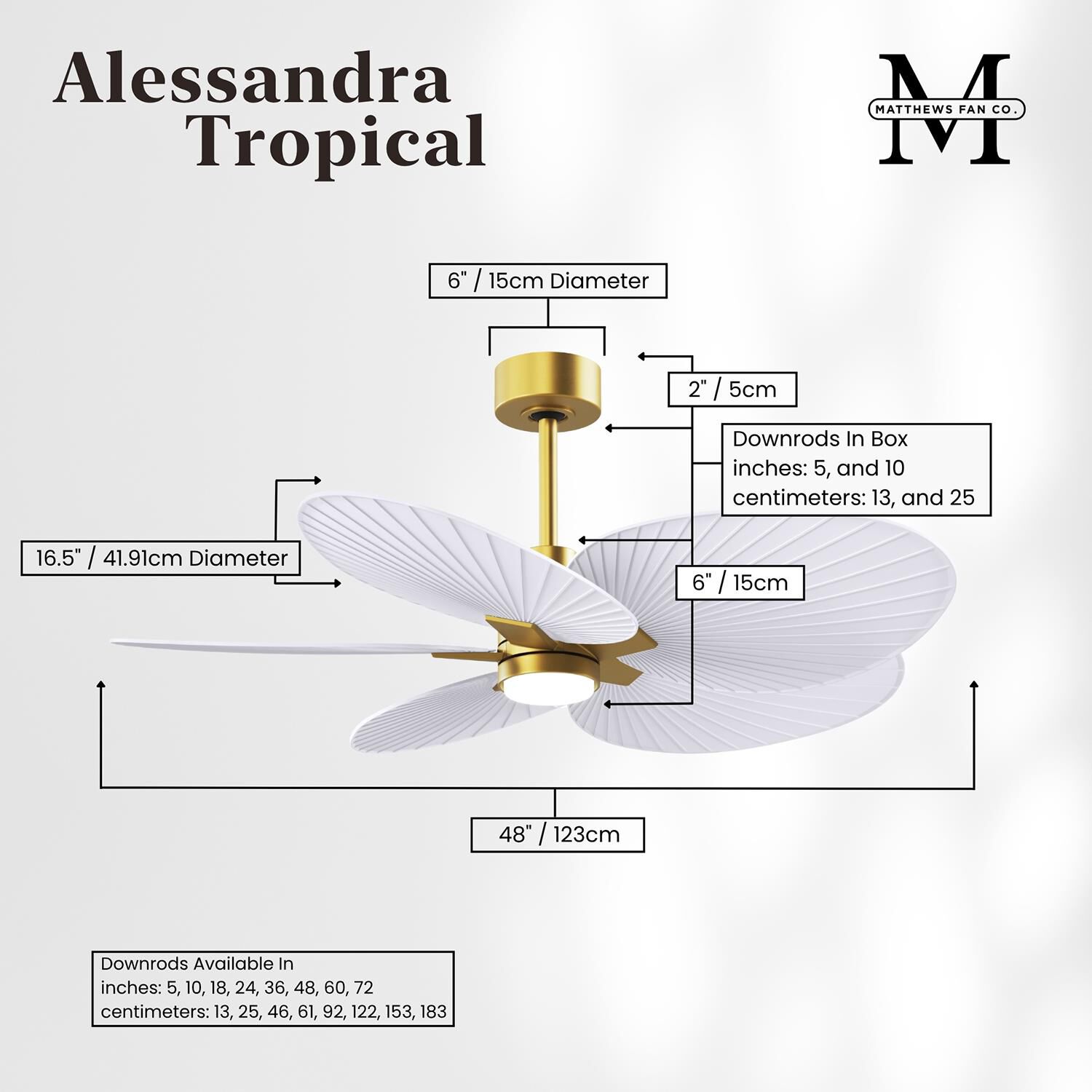Alessandra Tropical Outdoor Rated 48 Inch Ceiling Fan with Light Kit by Matthews Fan Company