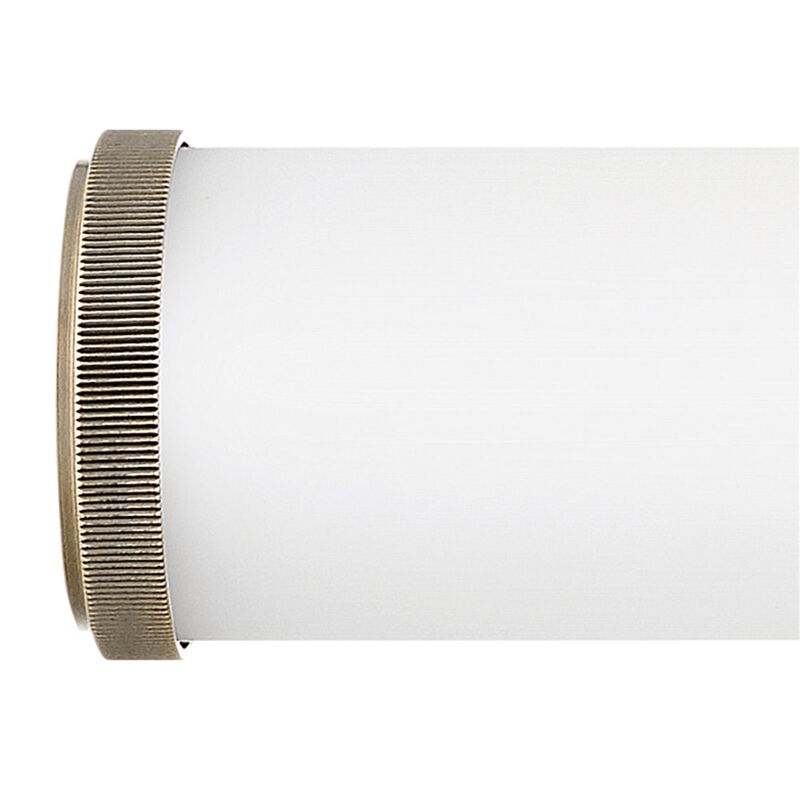 Femi 22 Inch Bath Vanity Light by Hinkley