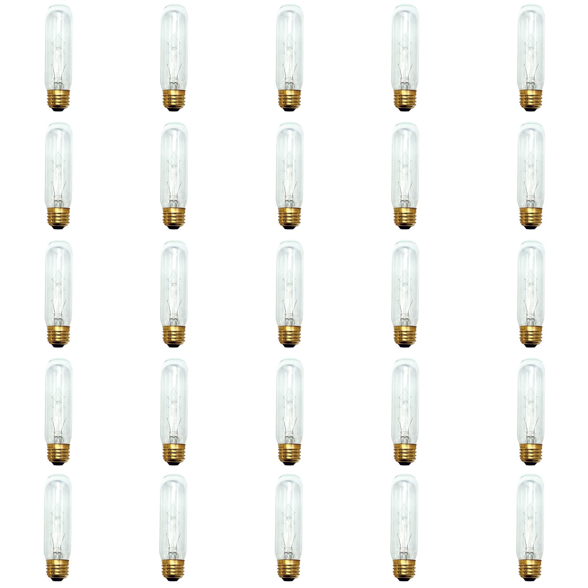 60 Watt 2700K T10 Incandescent Light Bulb by Bulbrite