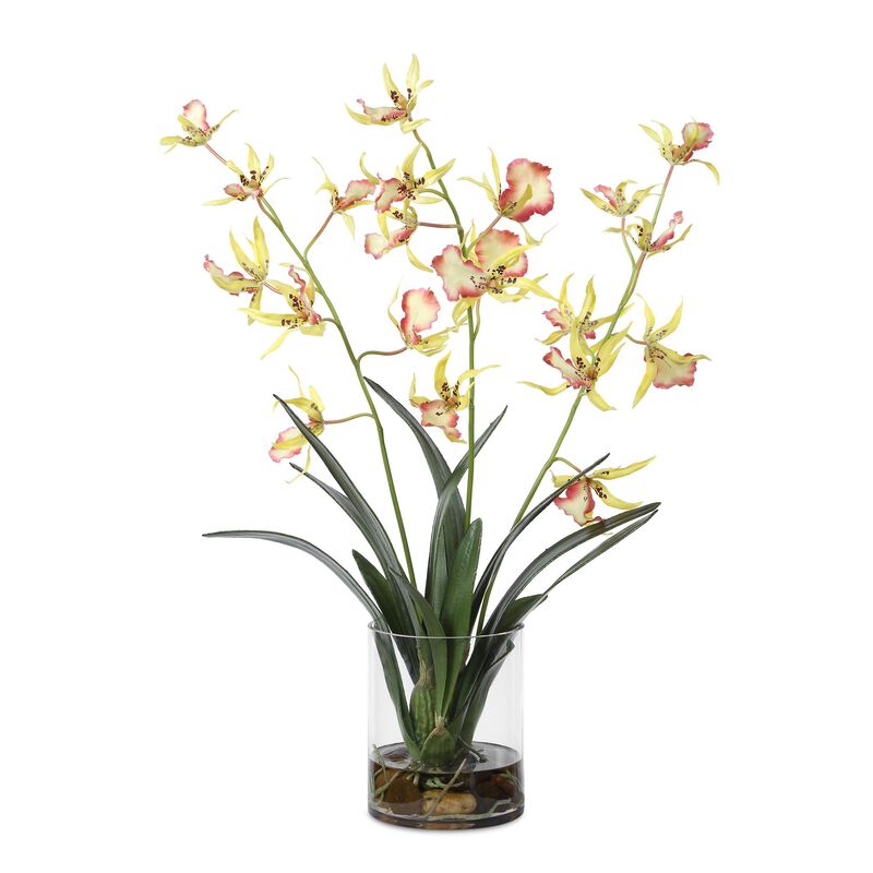 Spider Botanical by Uttermost