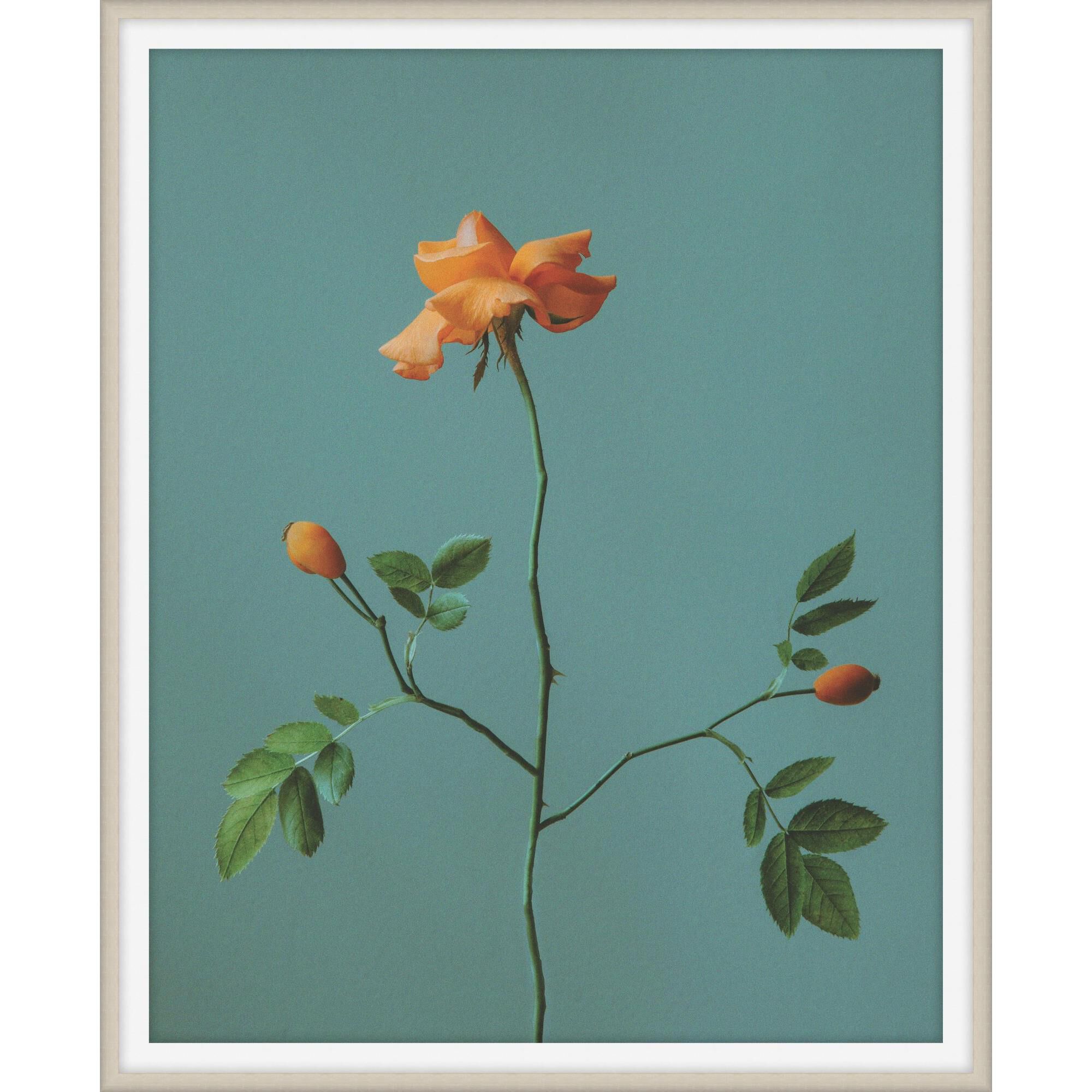 Atonement Petals Print by LEVEL57