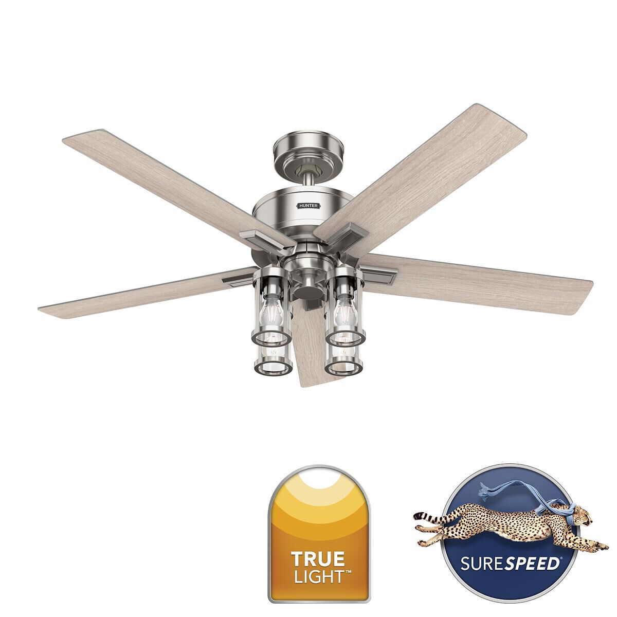 Astwood II 52 Inch Ceiling Fan by Hunter Fan