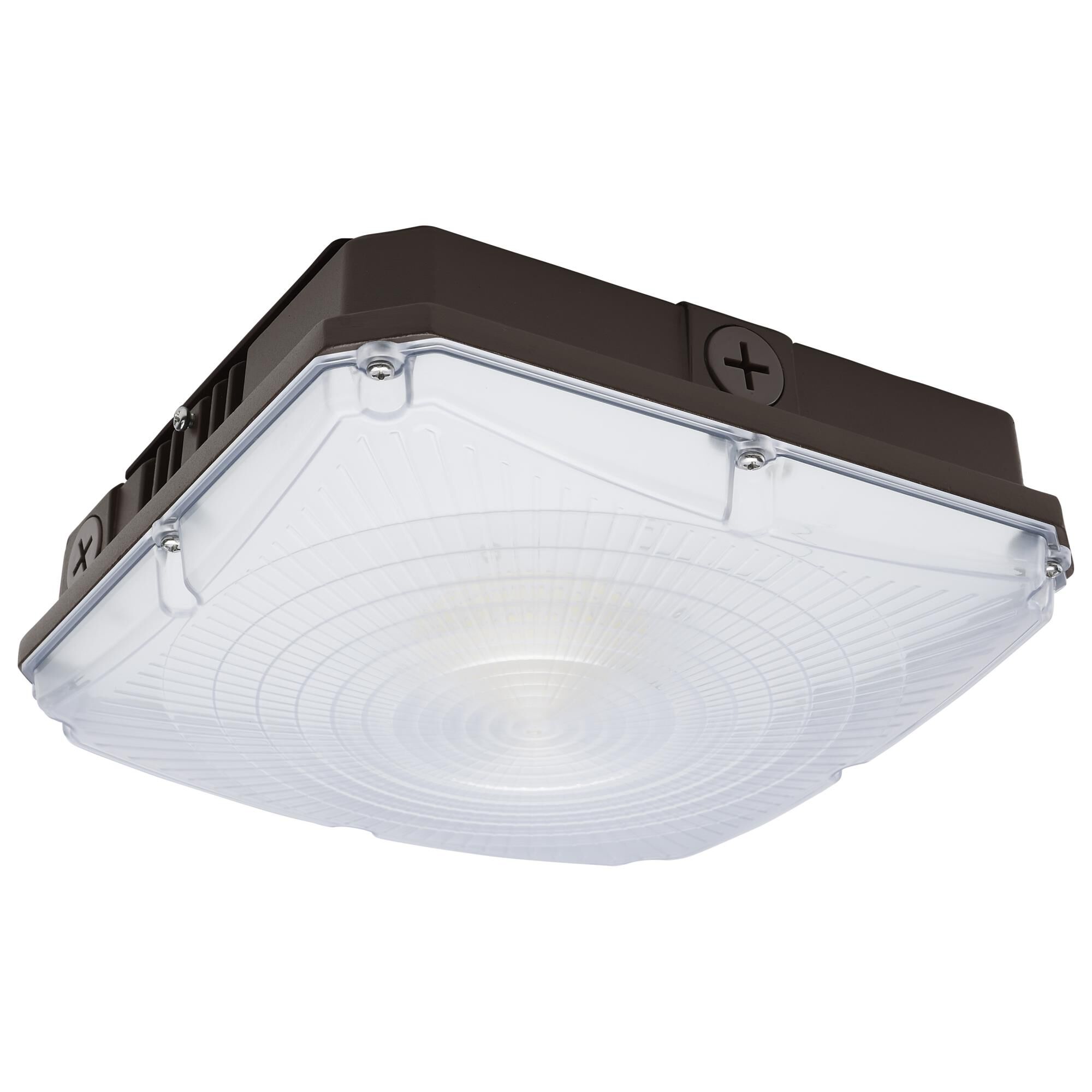 9 Inch Outdoor Flush Mount by Nuvo Lighting