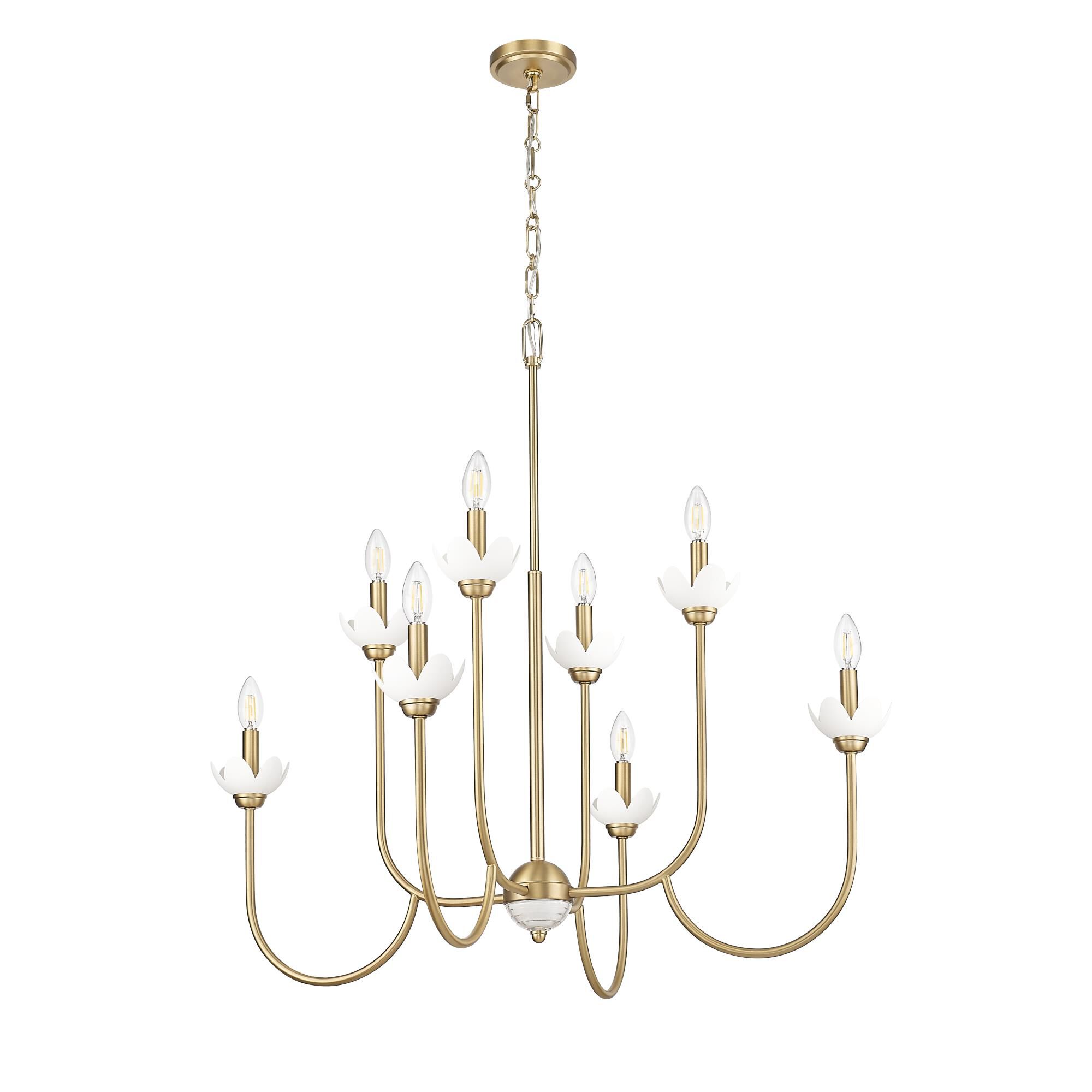 Allistair 36 Inch Chandelier by Z Lite