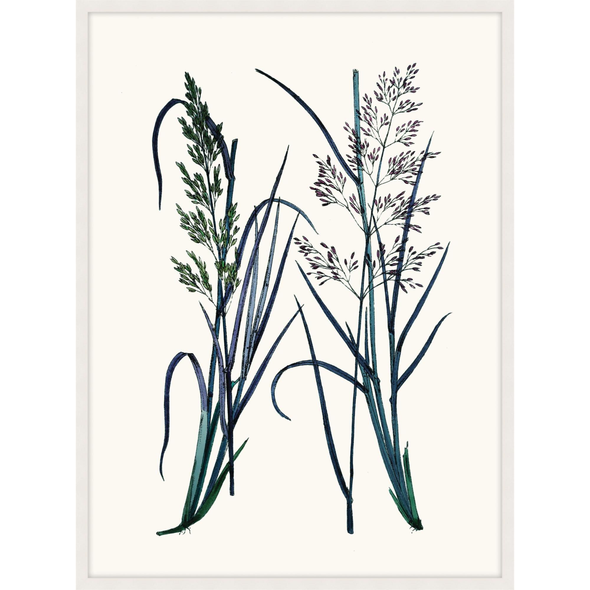 Studio L57 Nouvelle Careful In Contemplation Print by LEVEL57