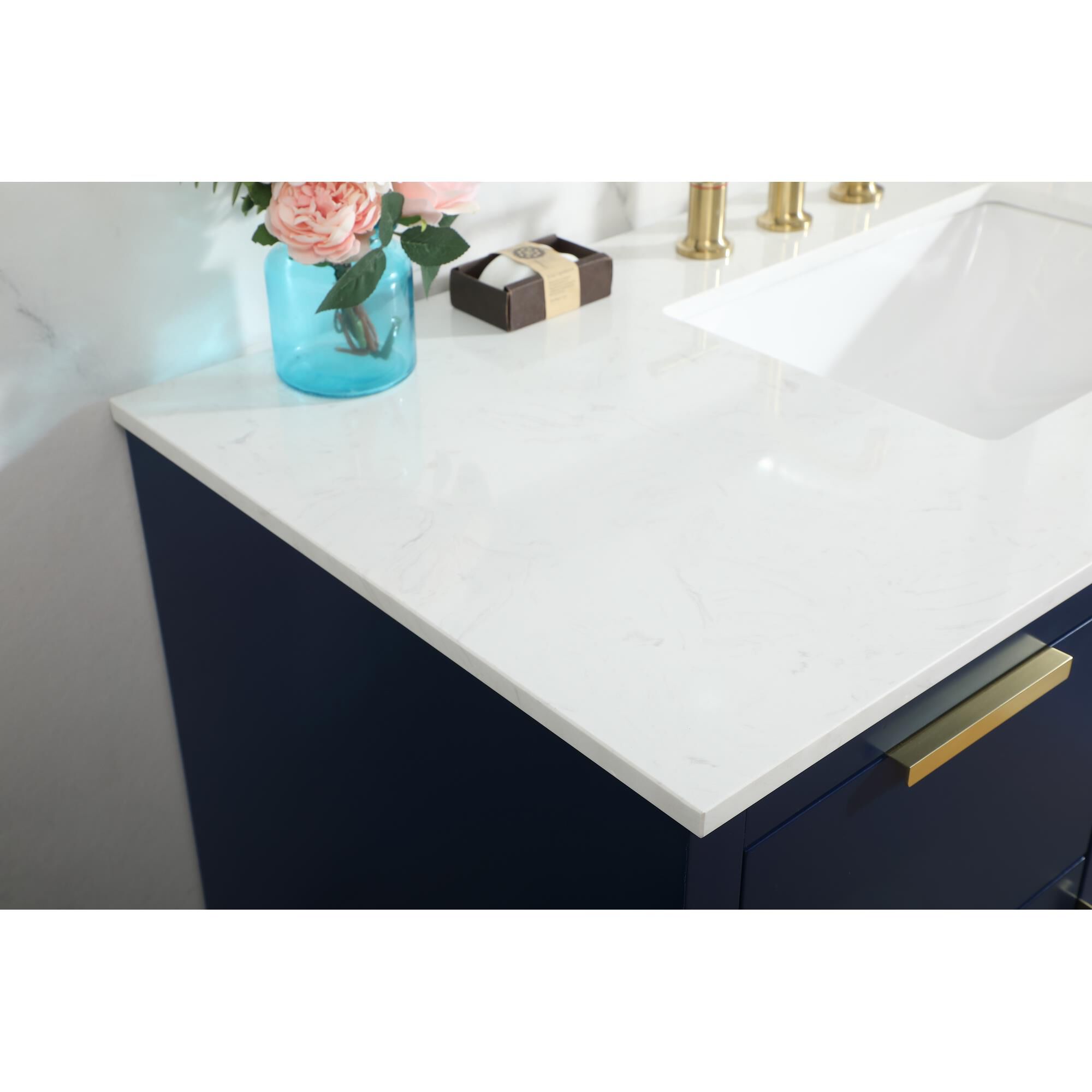 Blake 48 Inch Bath Vanity by Elegant Decor