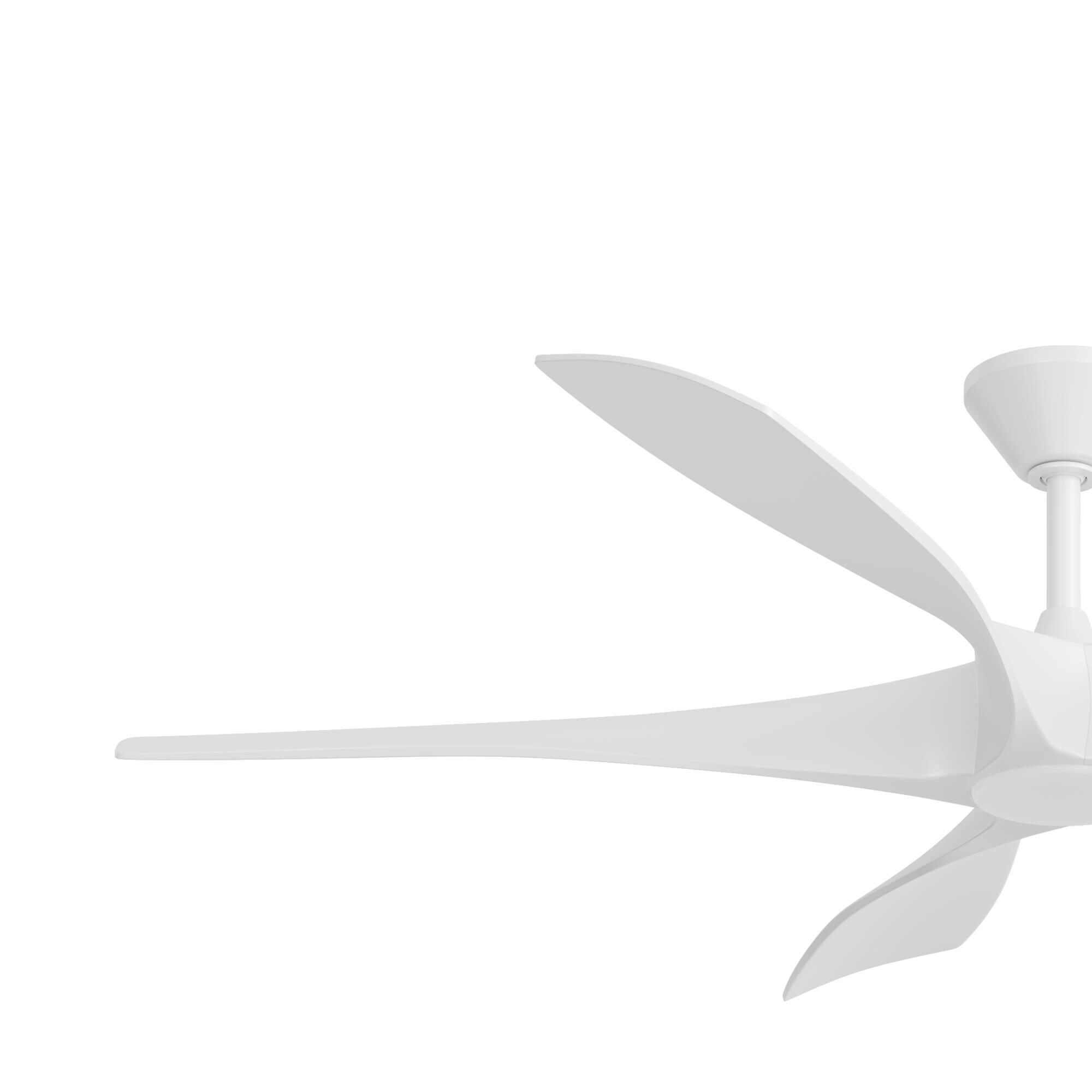 Vernal 60 Inch Ceiling Fan with Light Kit by Progress Lighting