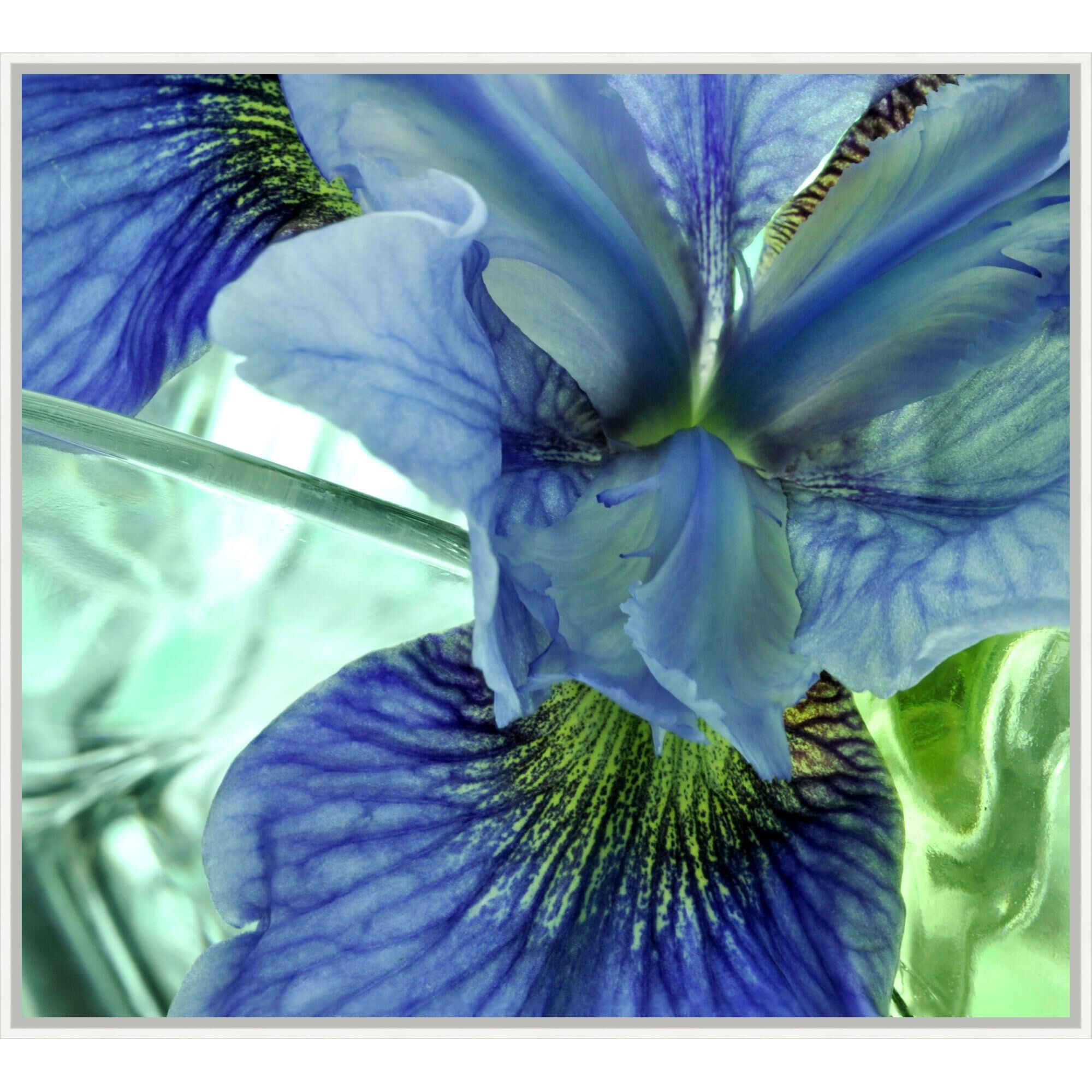 Harmony Emanates Print by LEVEL57