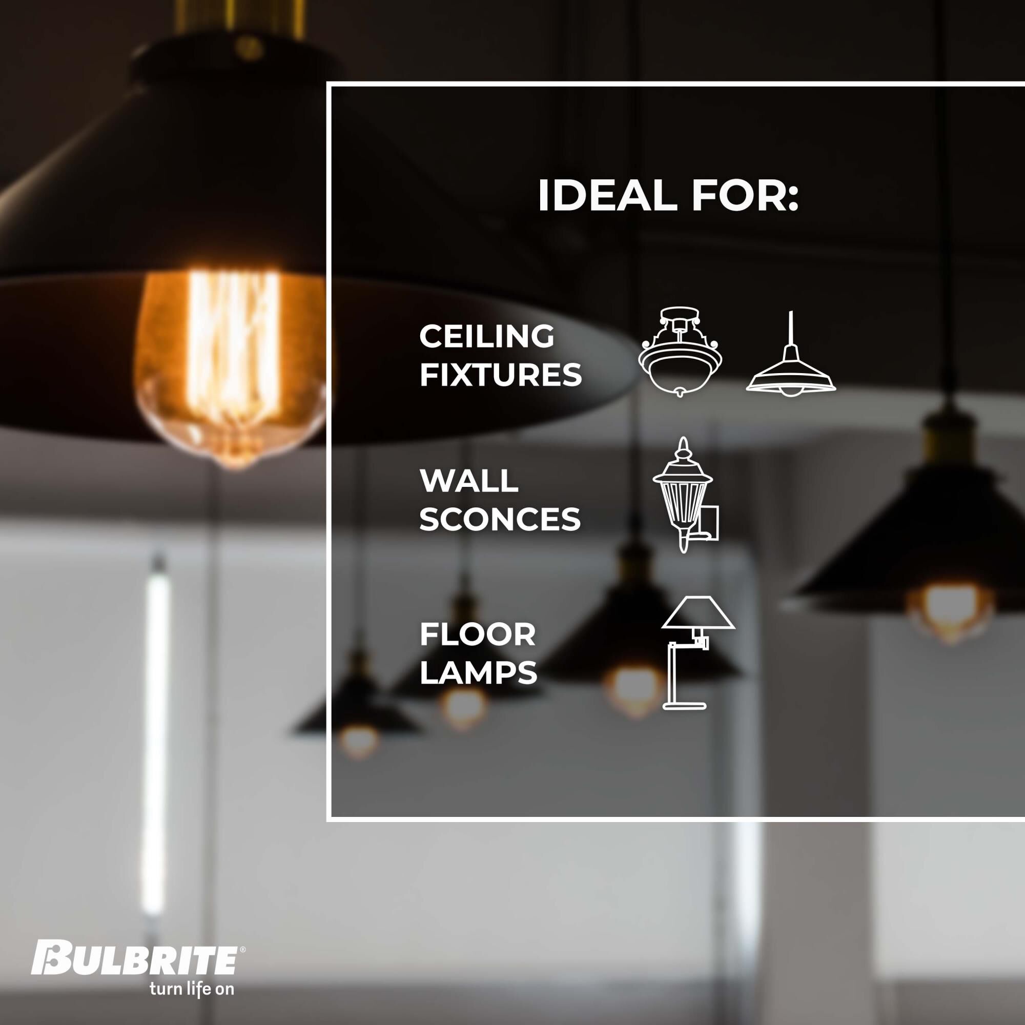 40 Watt 2200K ST18 Incandescent Light Bulb,