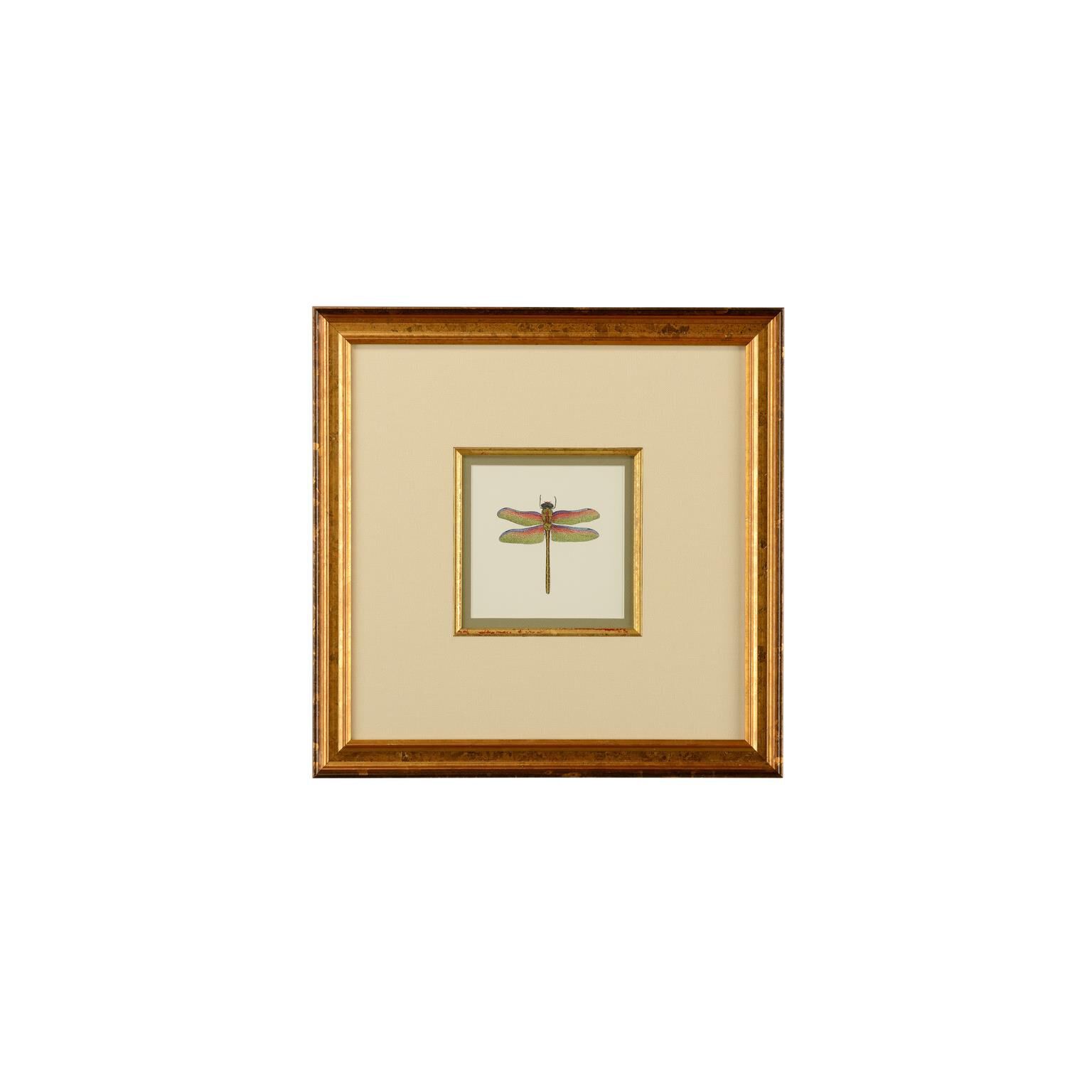 MINIATURE DRAGON FLY III Print by Chelsea House