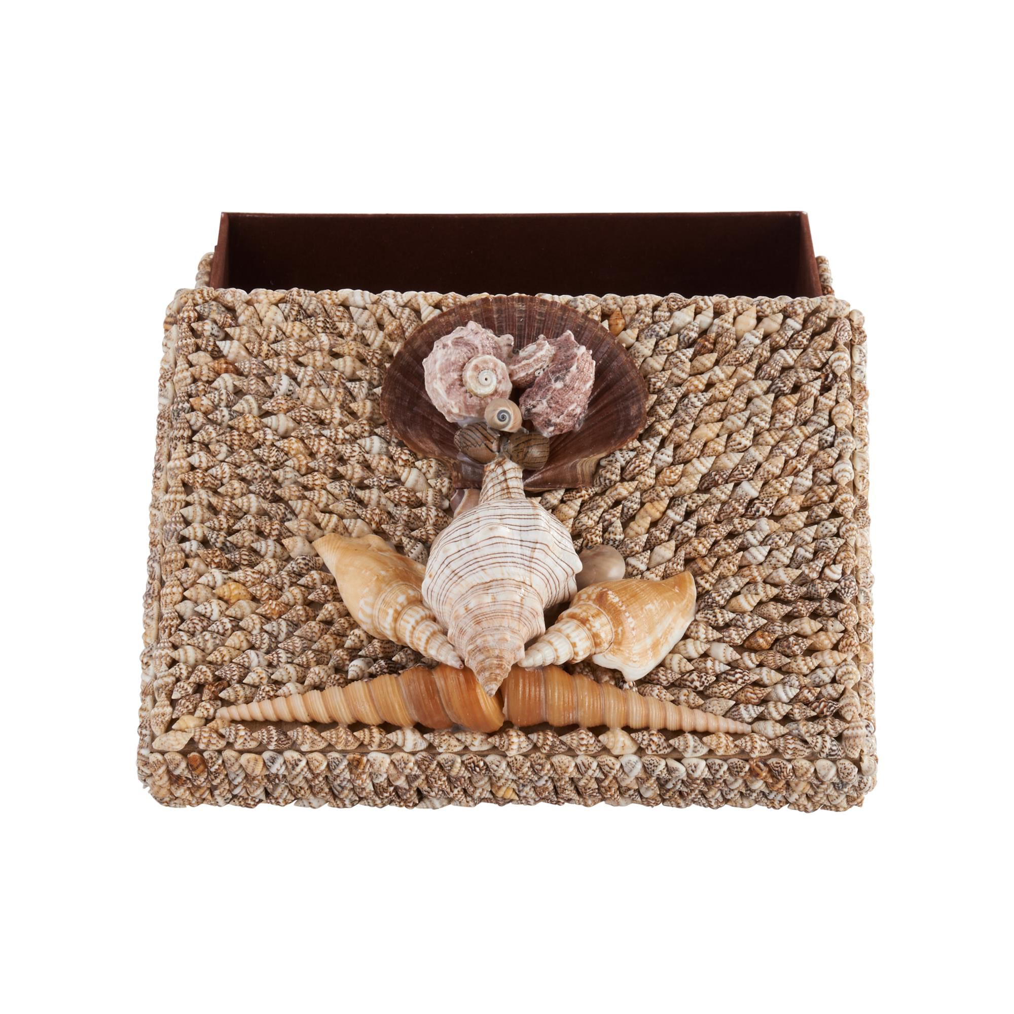 Island Shell Accent Box by Chelsea House