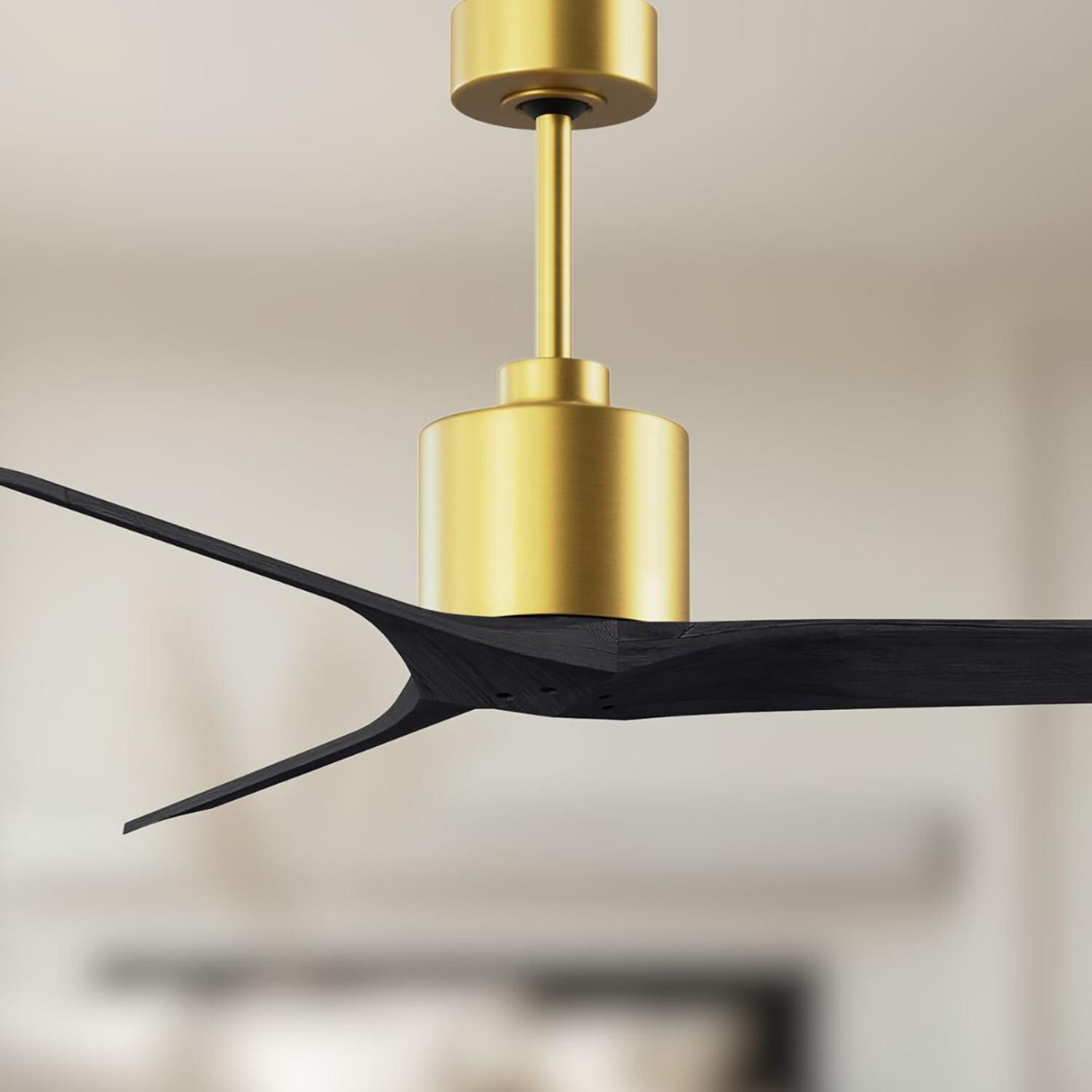 Mollywood 52 Inch Ceiling Fan by Matthews Fan Company