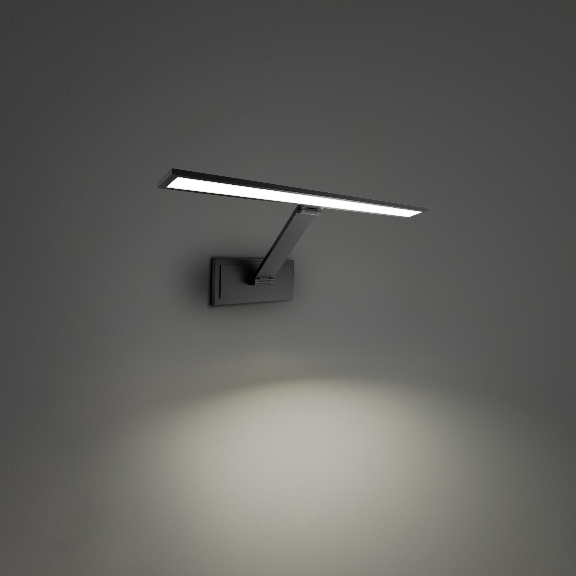 Diver 18 Inch Picture and Display Light by Modern Forms