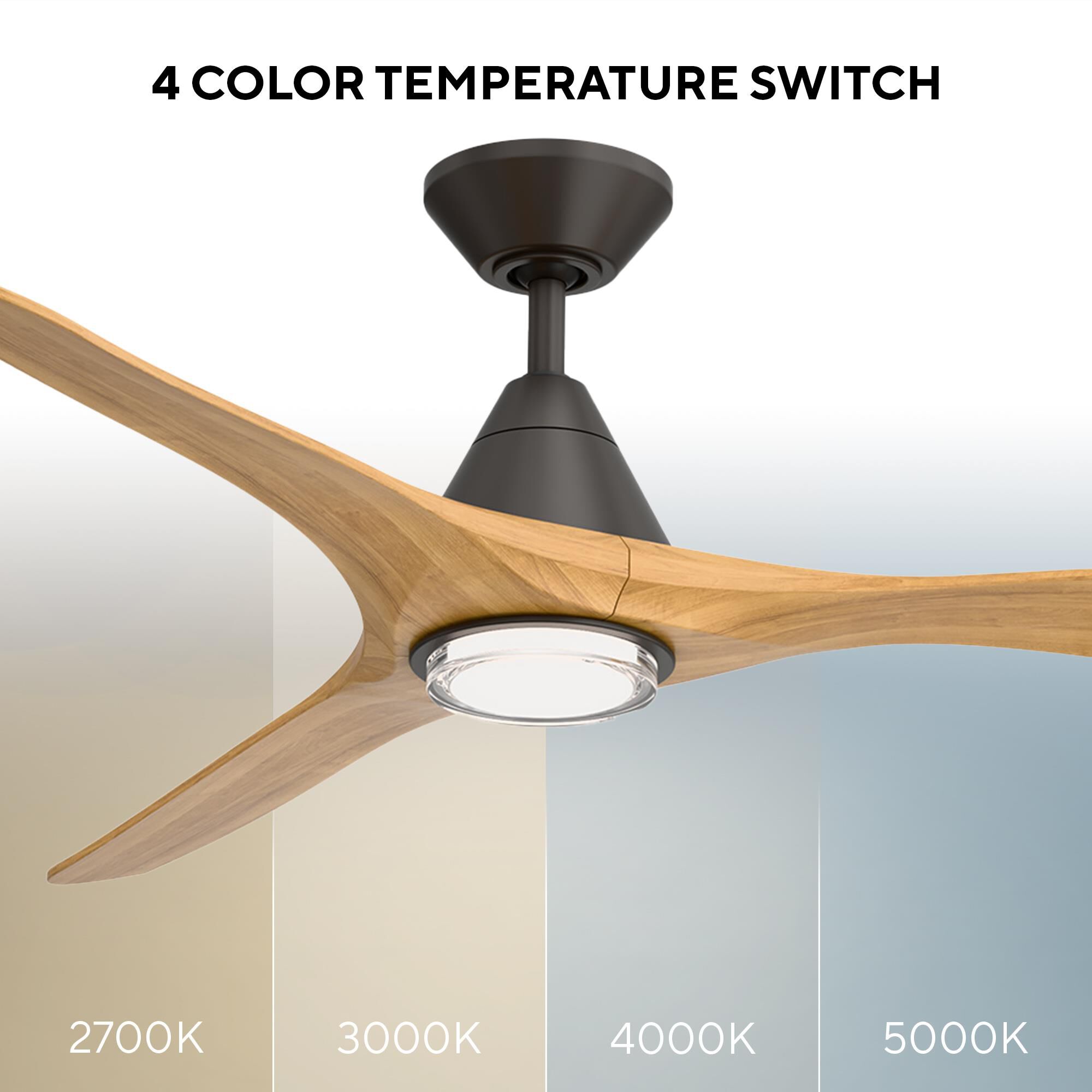 Carve 60 Inch Ceiling Fan with Light Kit by Modern Forms